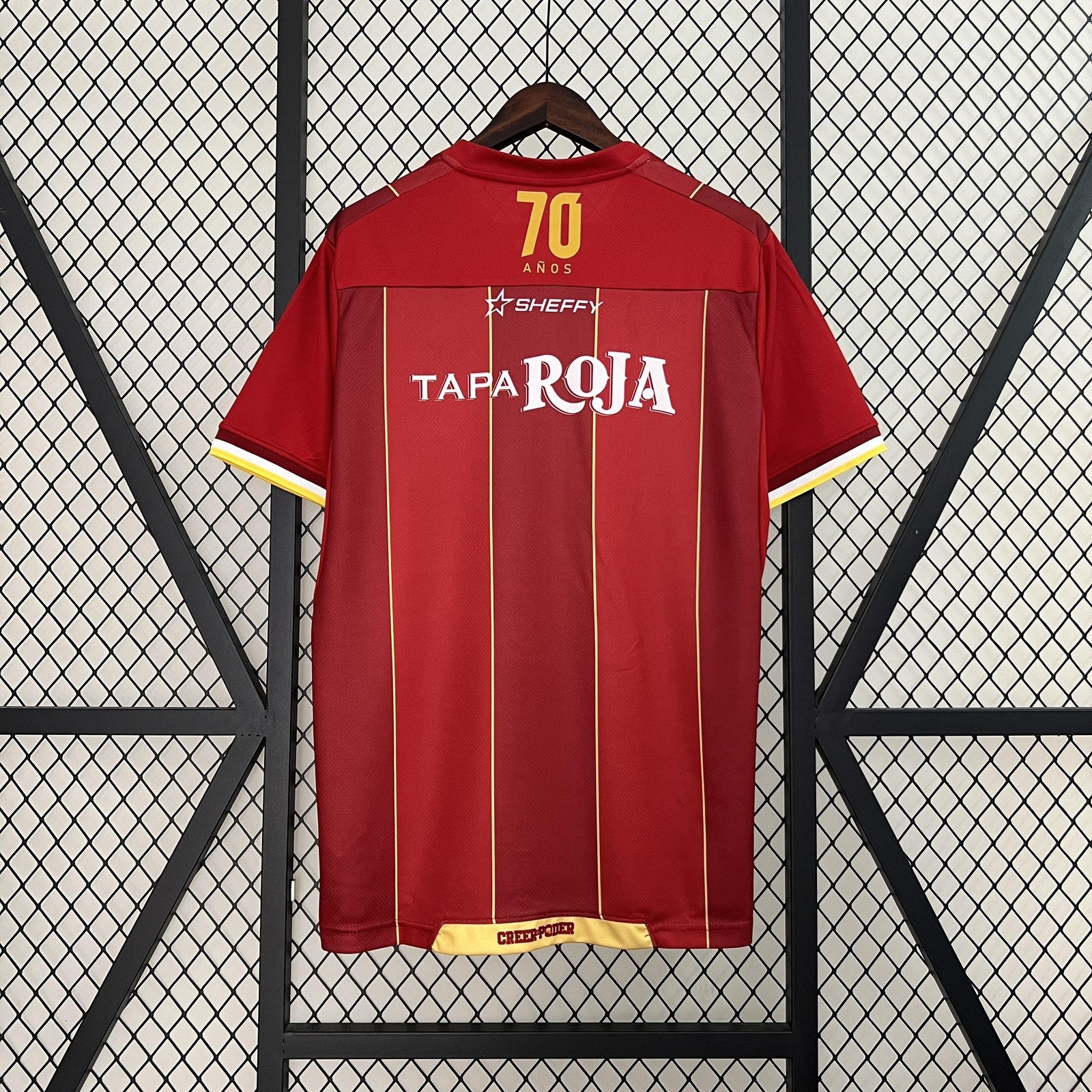 24 25 Tolima Home
