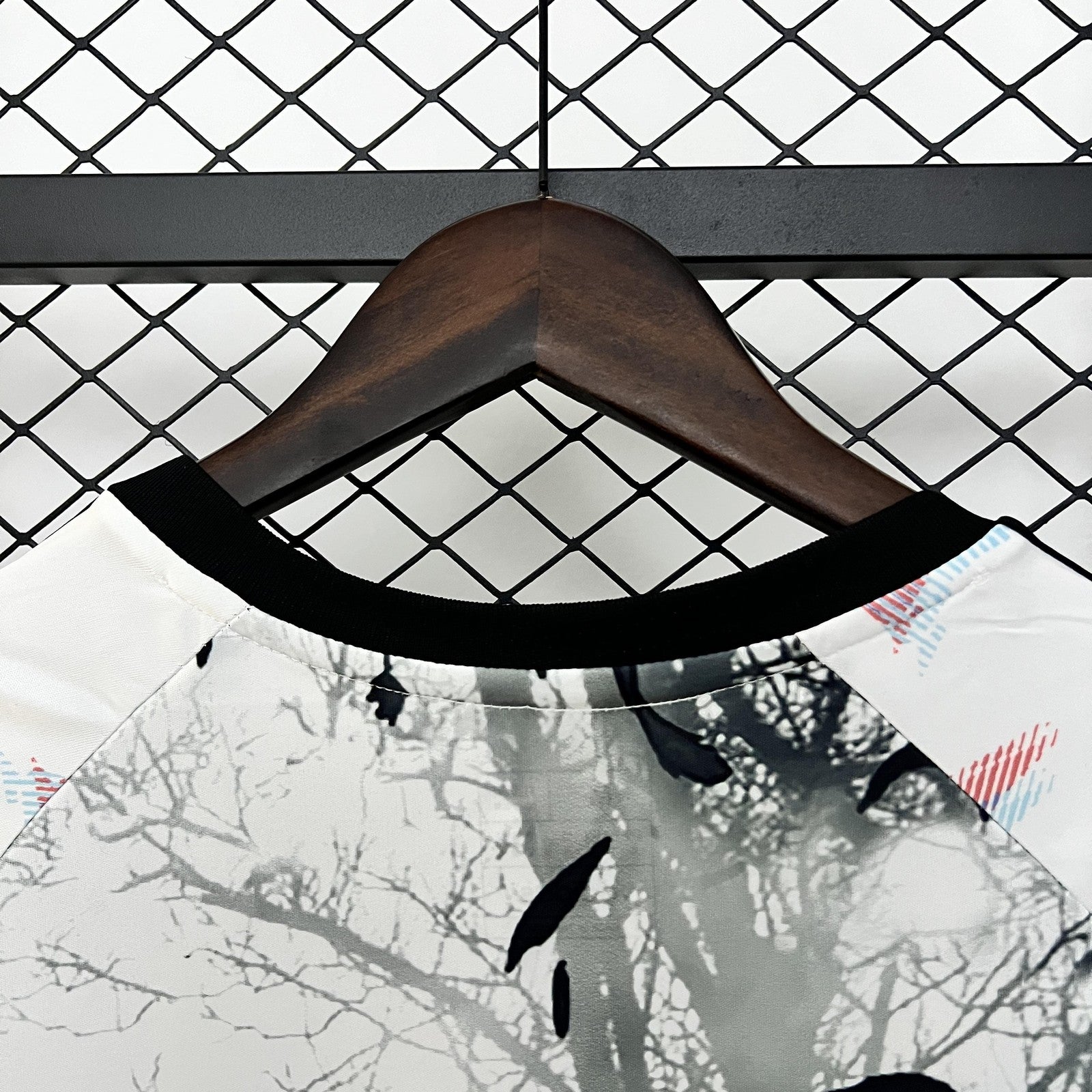 2024 Japan Special Edition 11