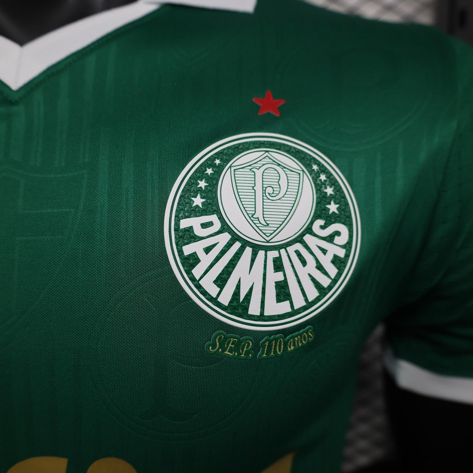 24 25 Player Version Palmeiras Home