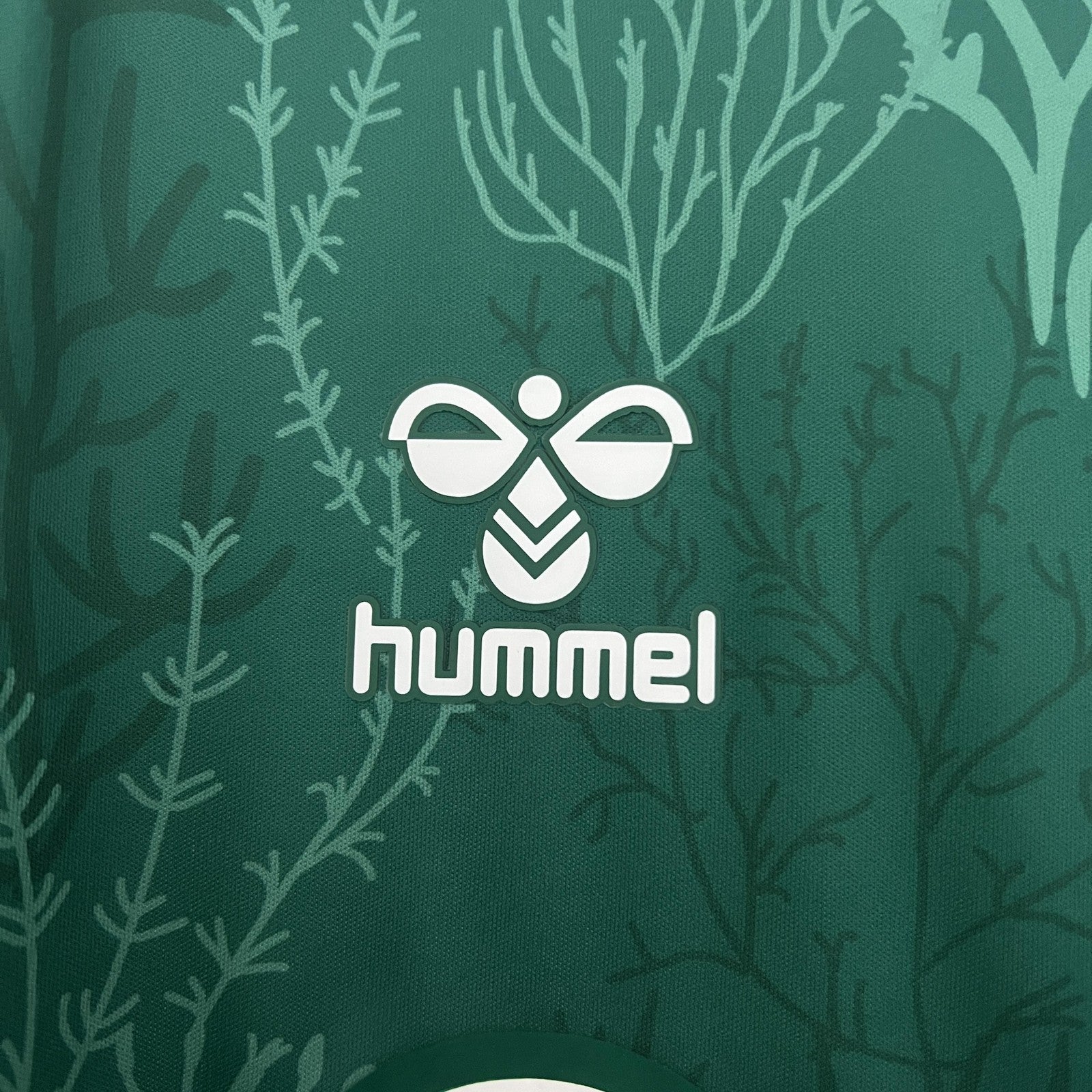 25 26 Real Betis Special Edition 4