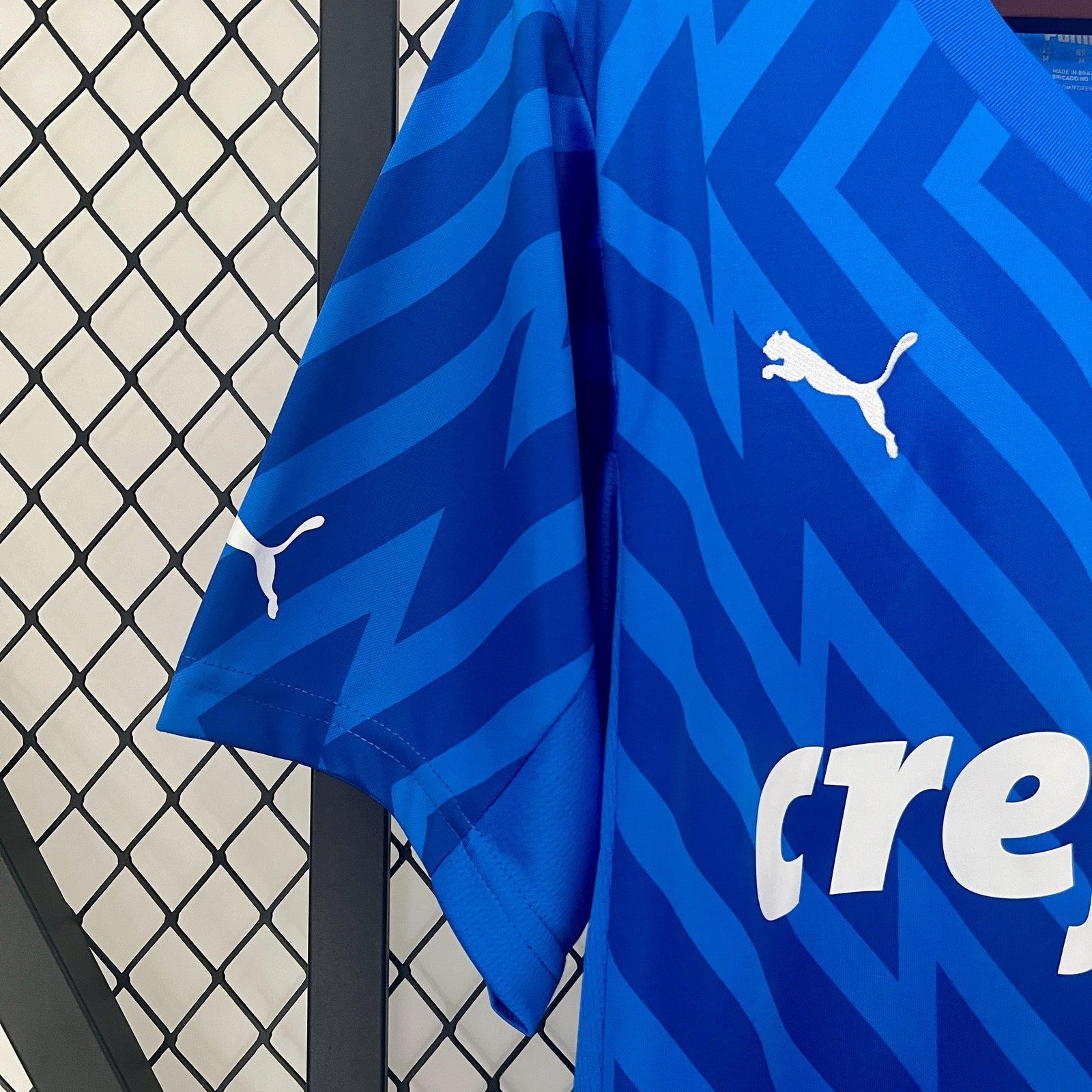 24 25 Goalkeeper Palmeiras Blue