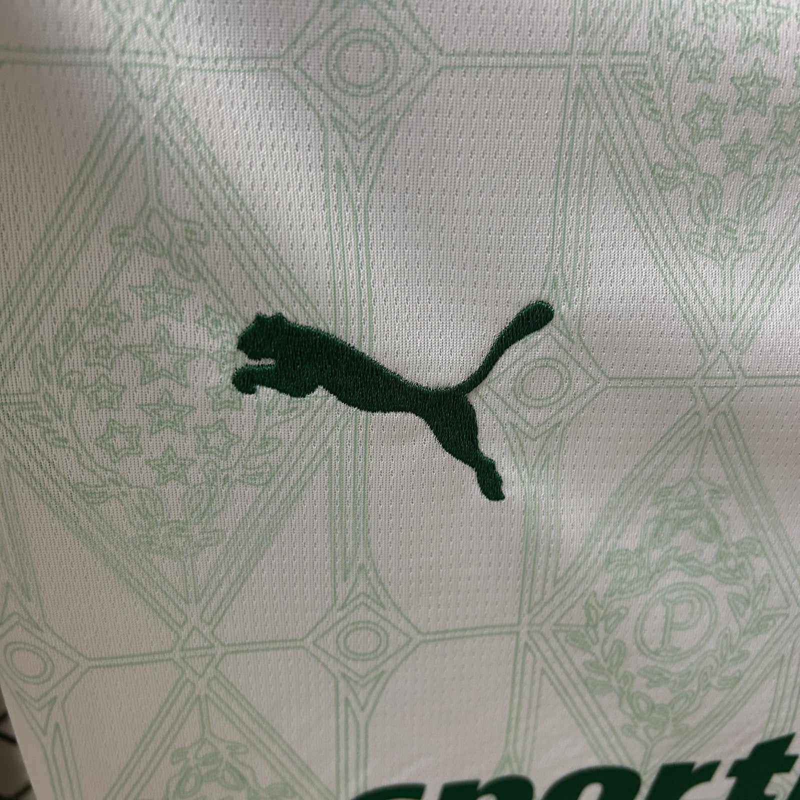 25 26 Women Palmeiras Away