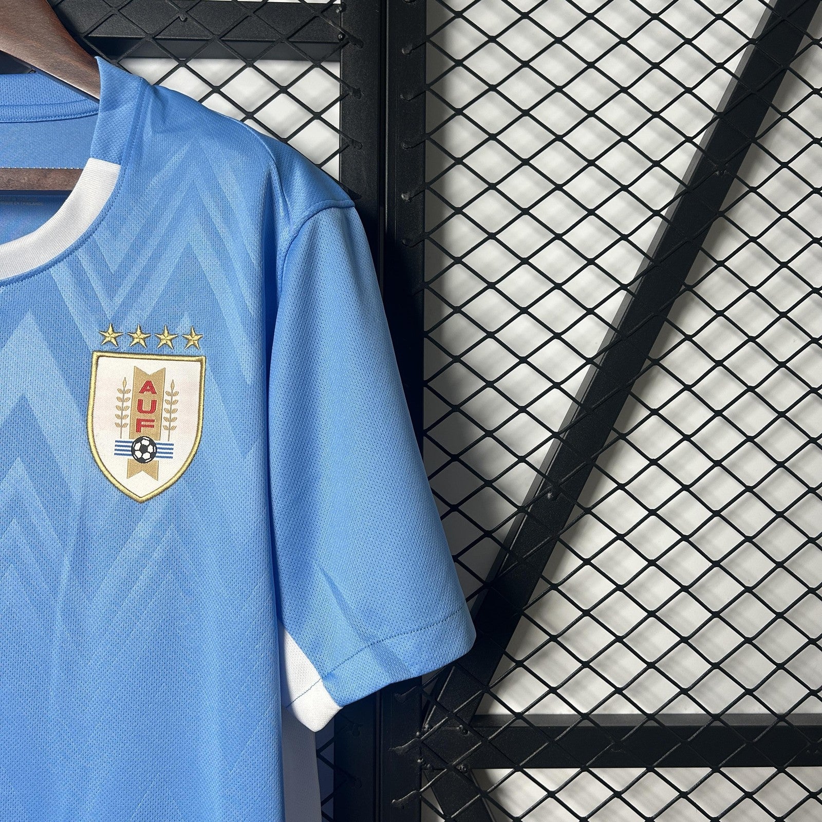 2025 Uruguay Home