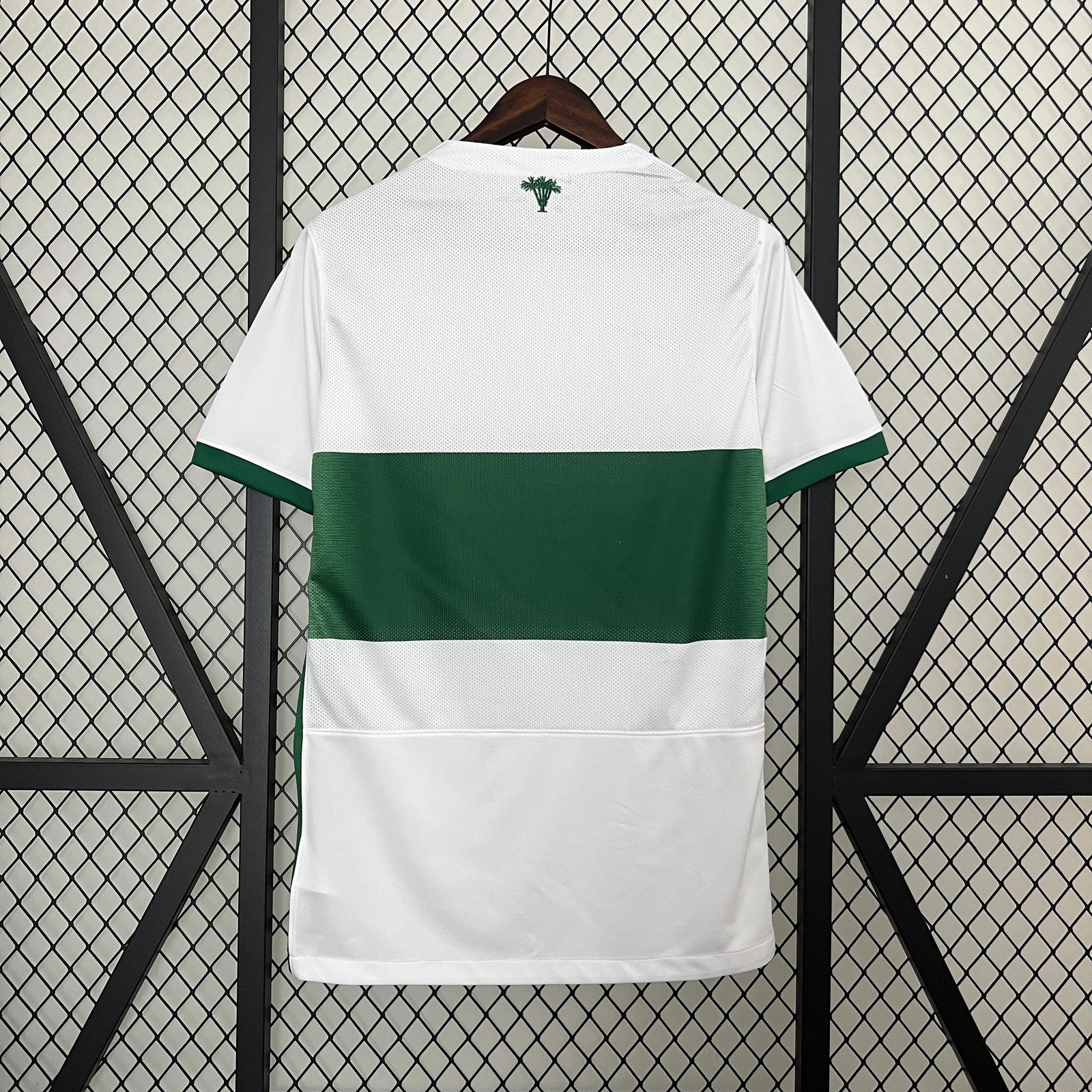 24 25 Elche Home