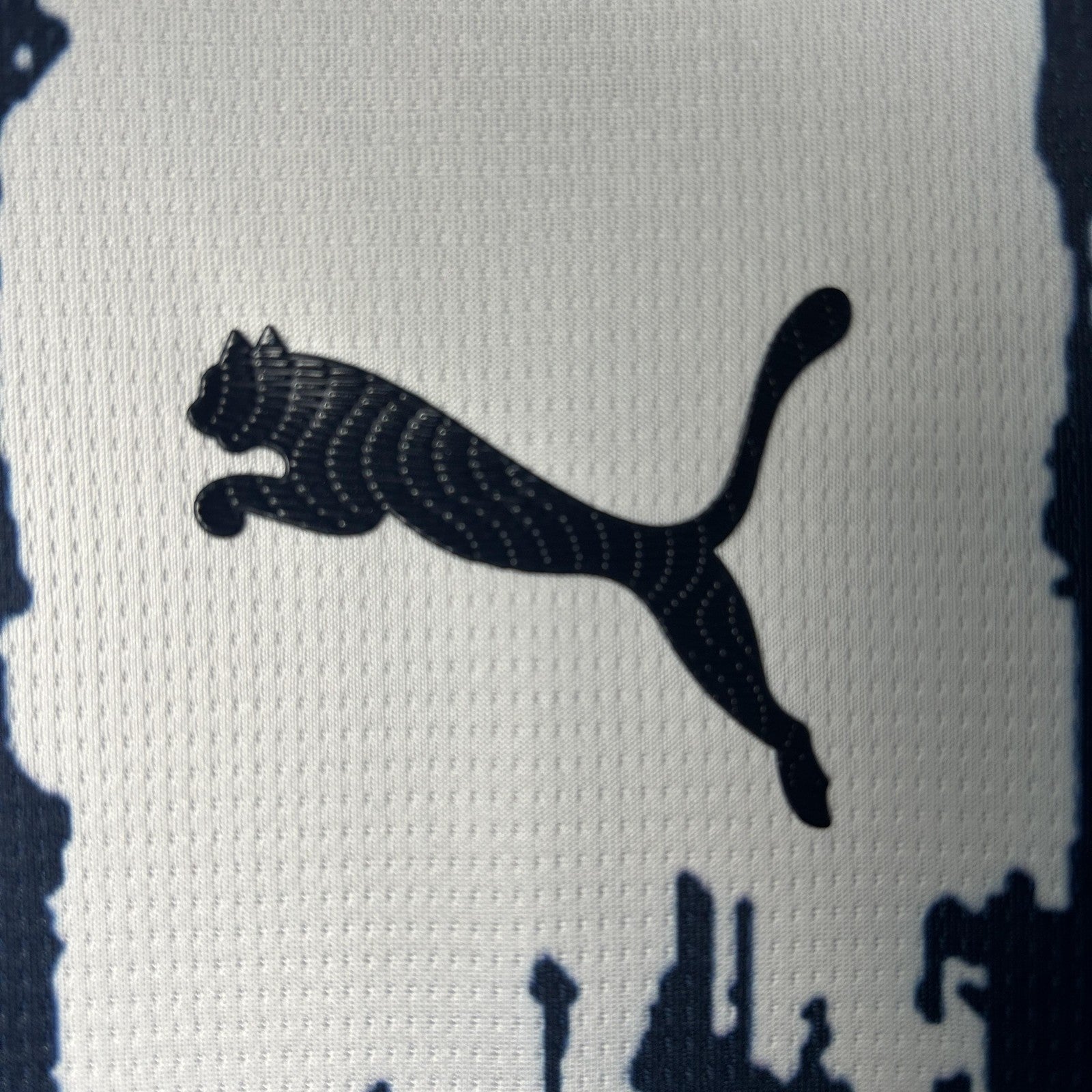 25 26 Monterey Special Edition