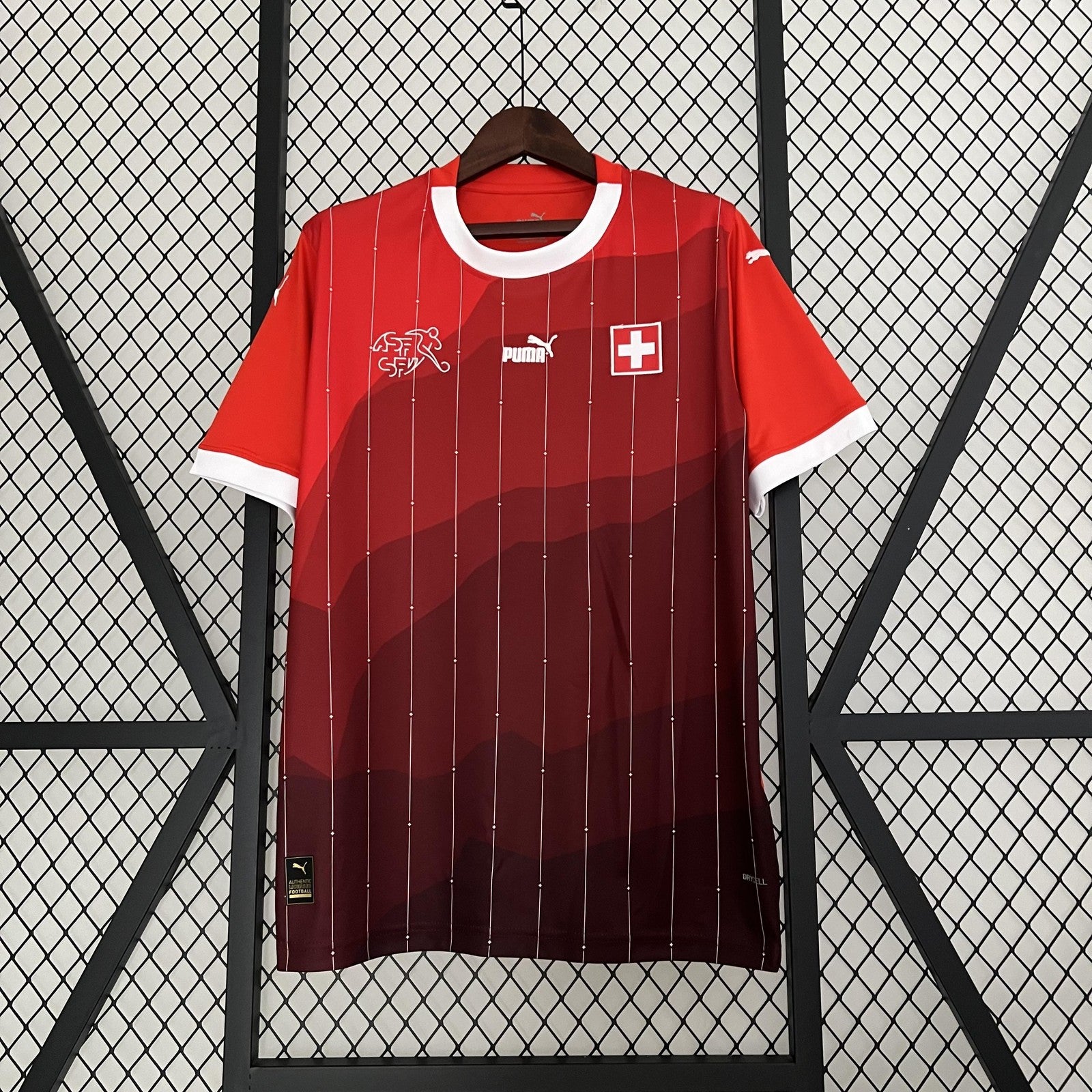2023 Switzerland Home