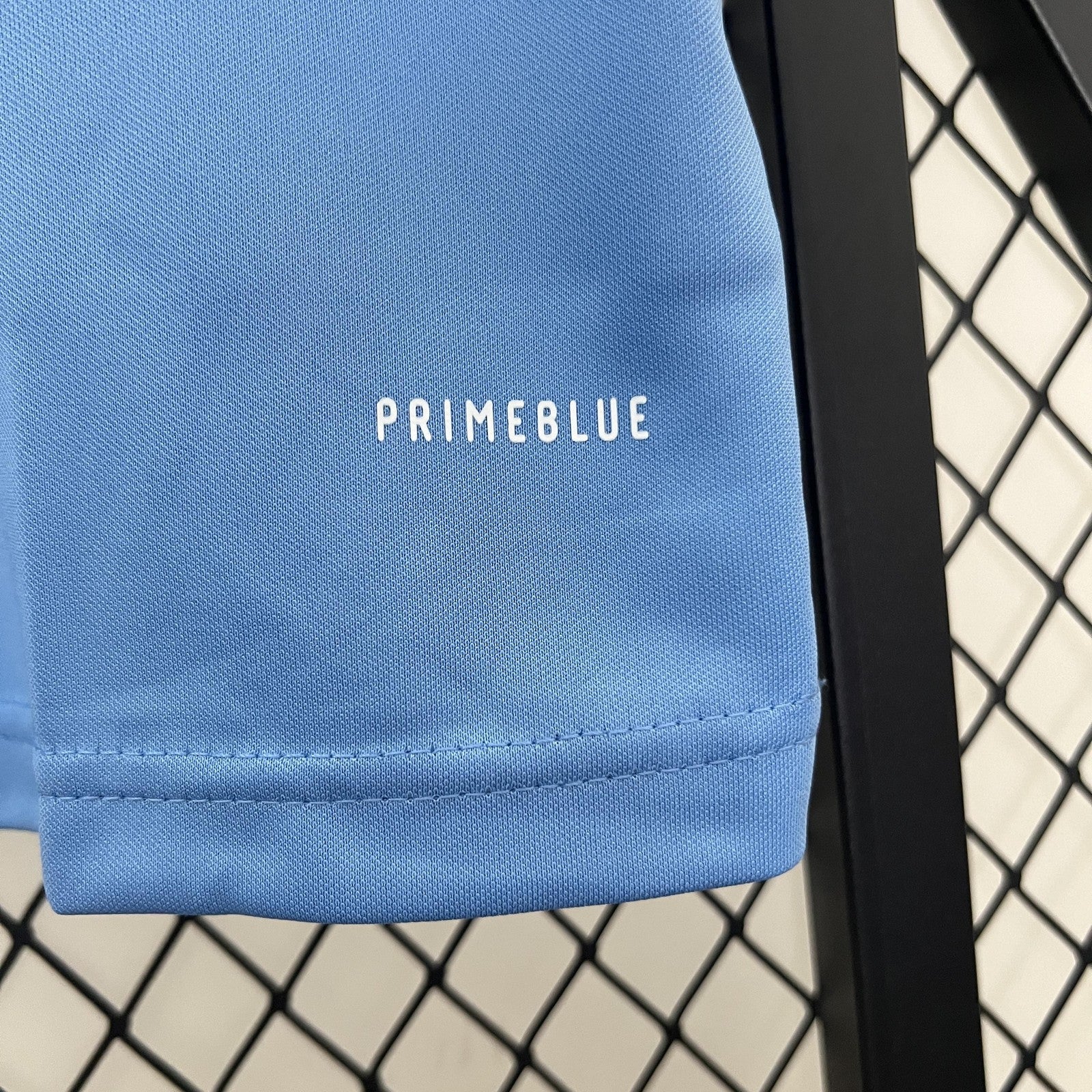 2024 Japan Special Edition 24