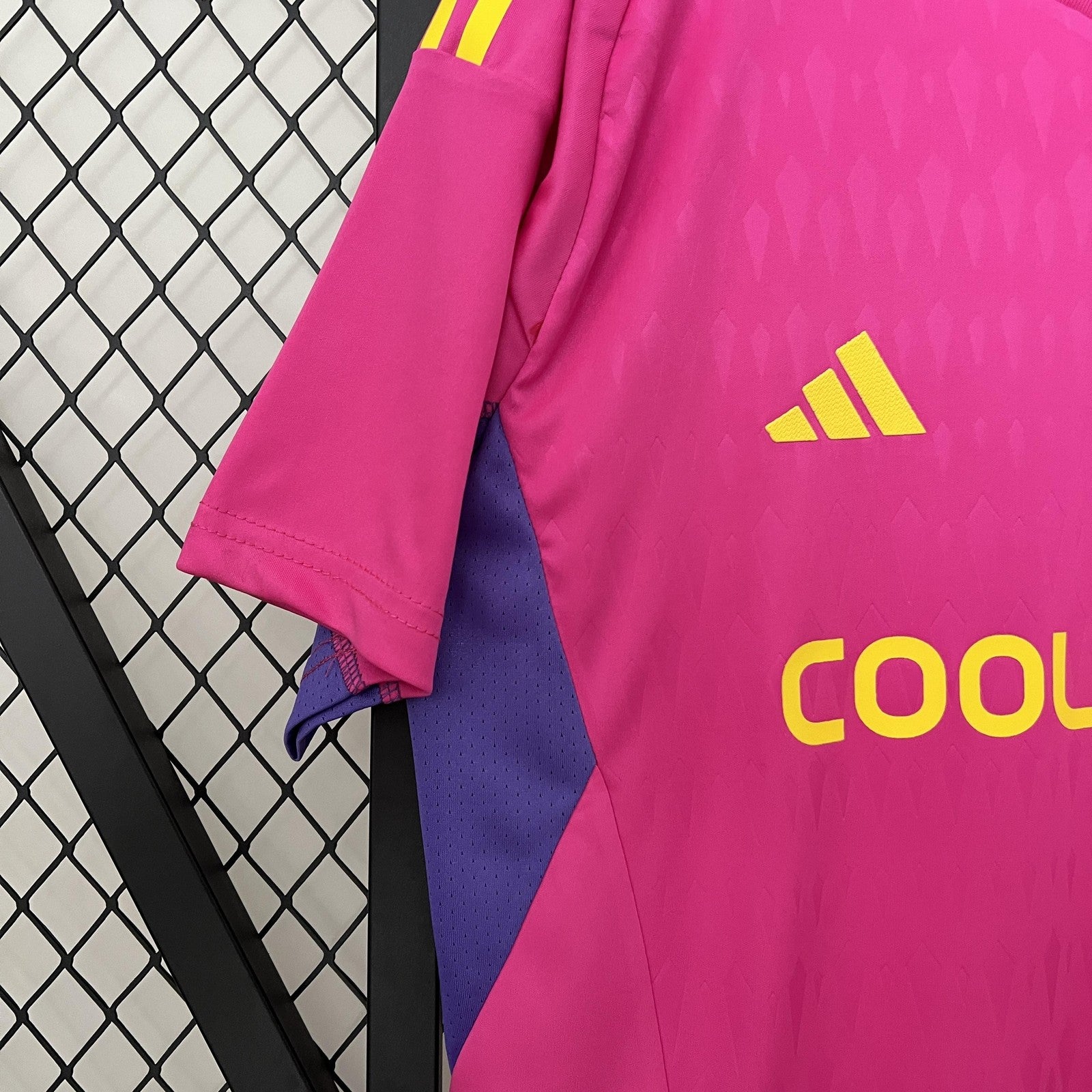 24 25 Goalkeeper Colo Colo Pink