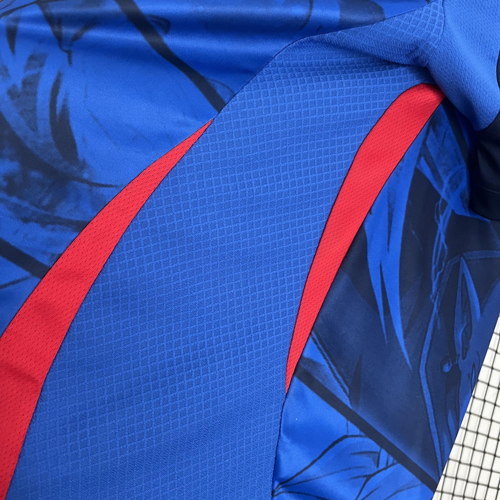 2024 Japan Special Edition 18