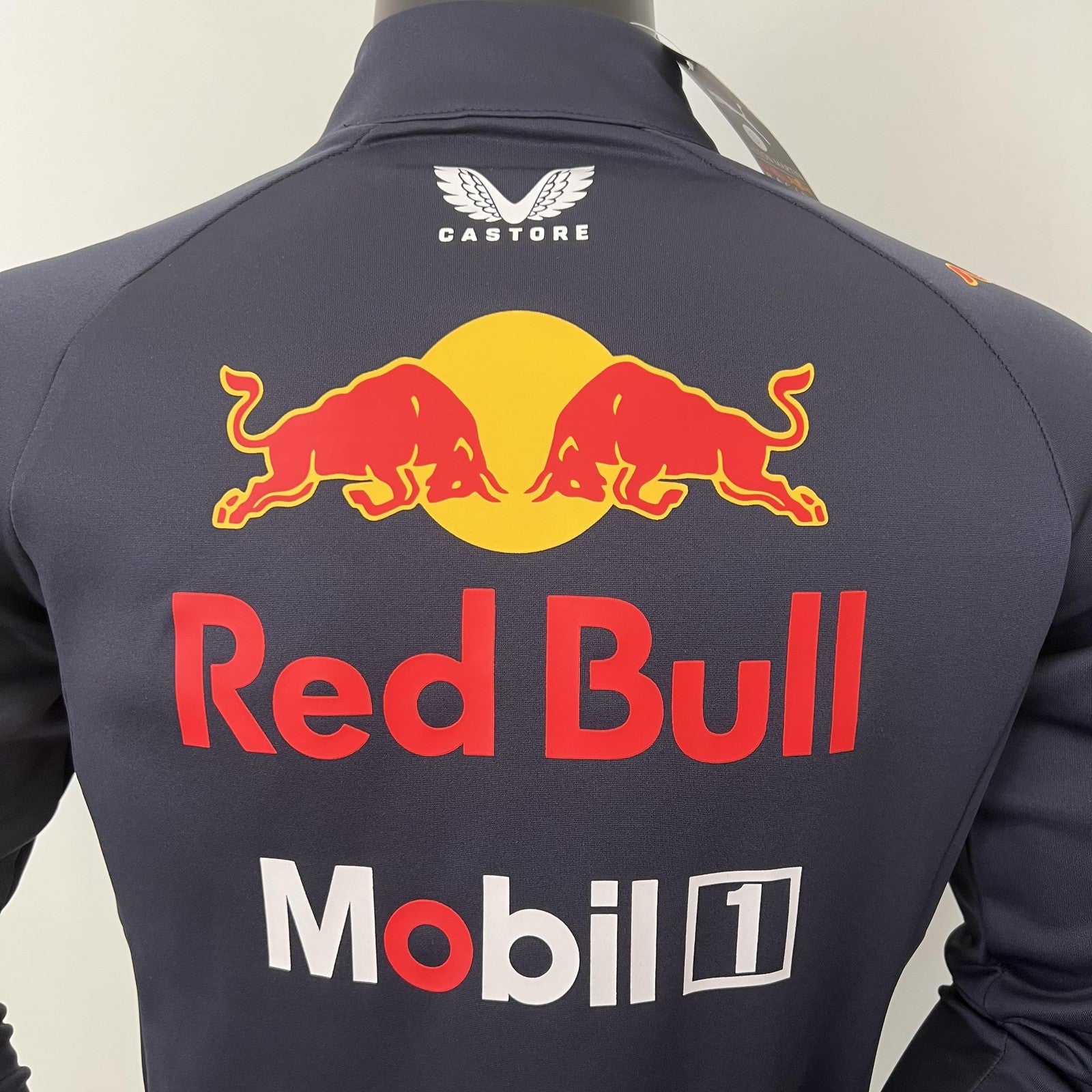 2023 F1 Formula One 24