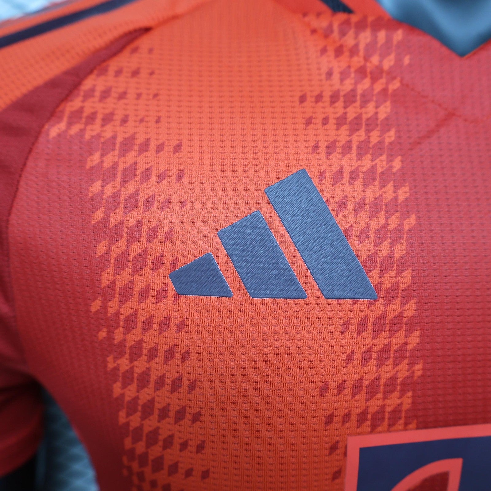 24 25 Player Bayern Munich Home