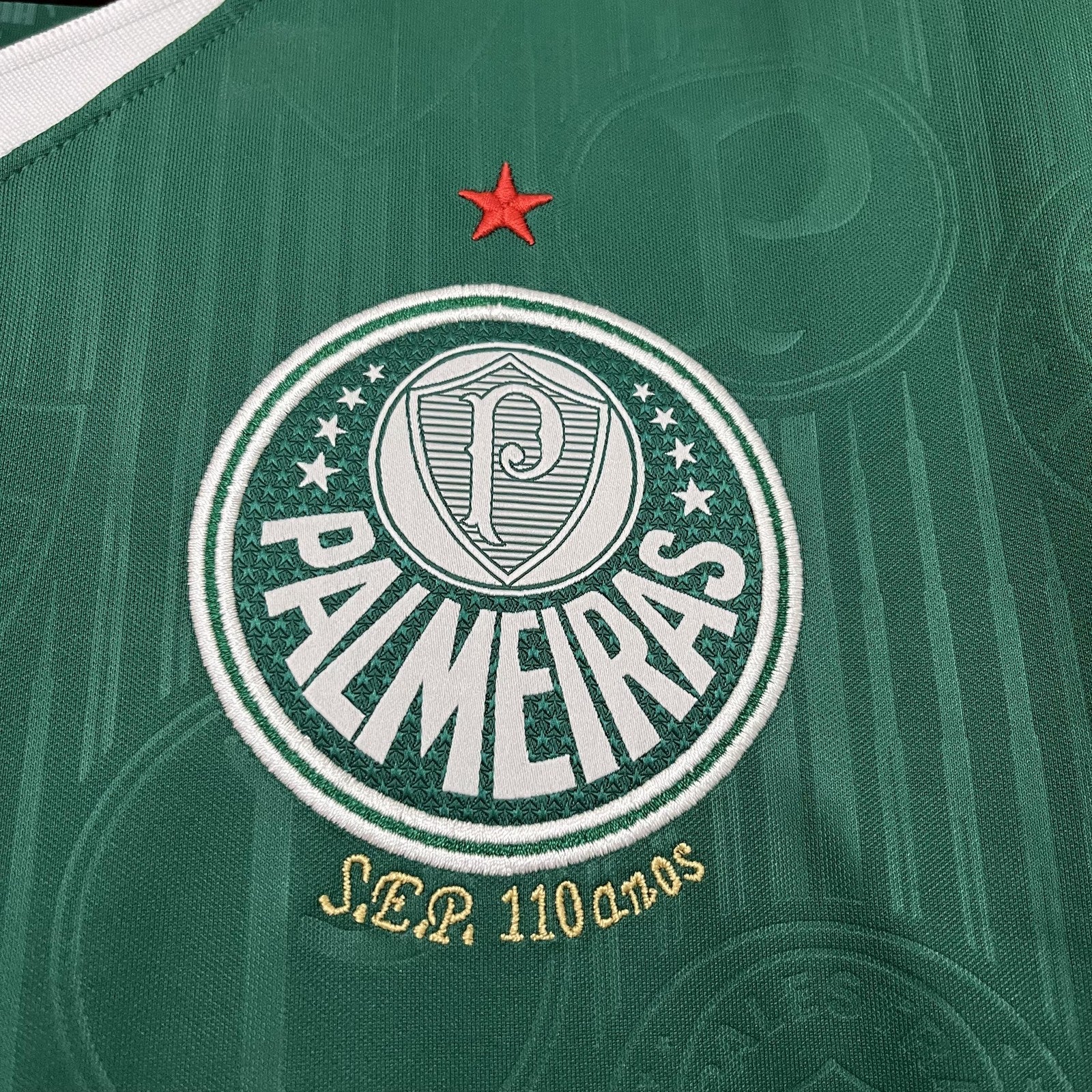 2024 25 Palmeiras Home