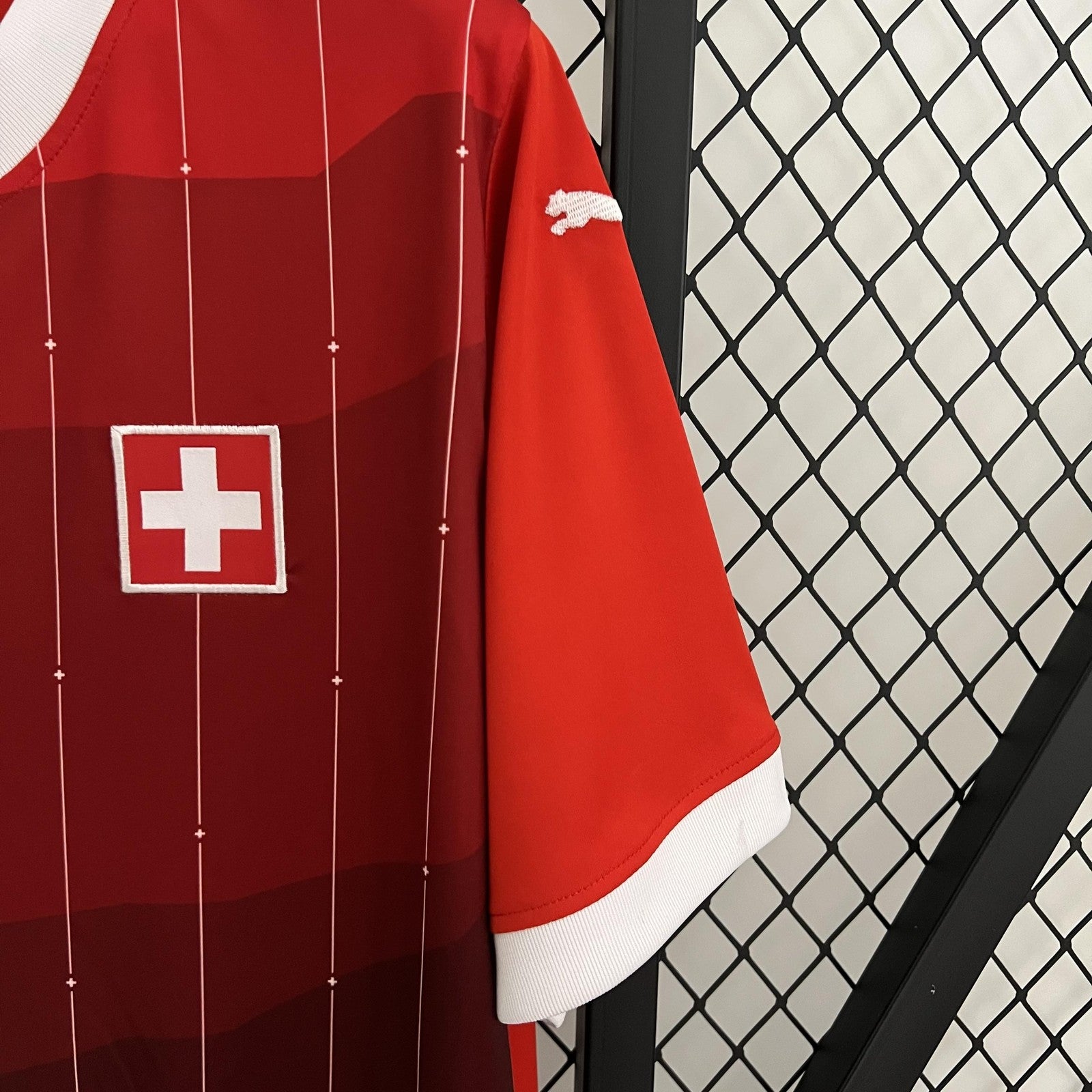 2023 Switzerland Home
