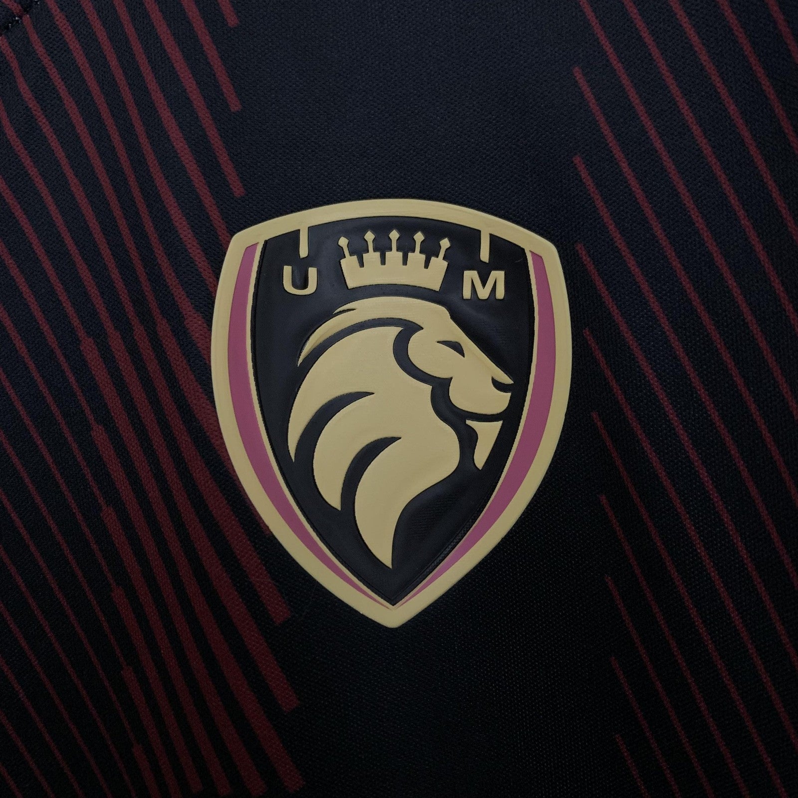 2025 Ultimate Mstoles Home