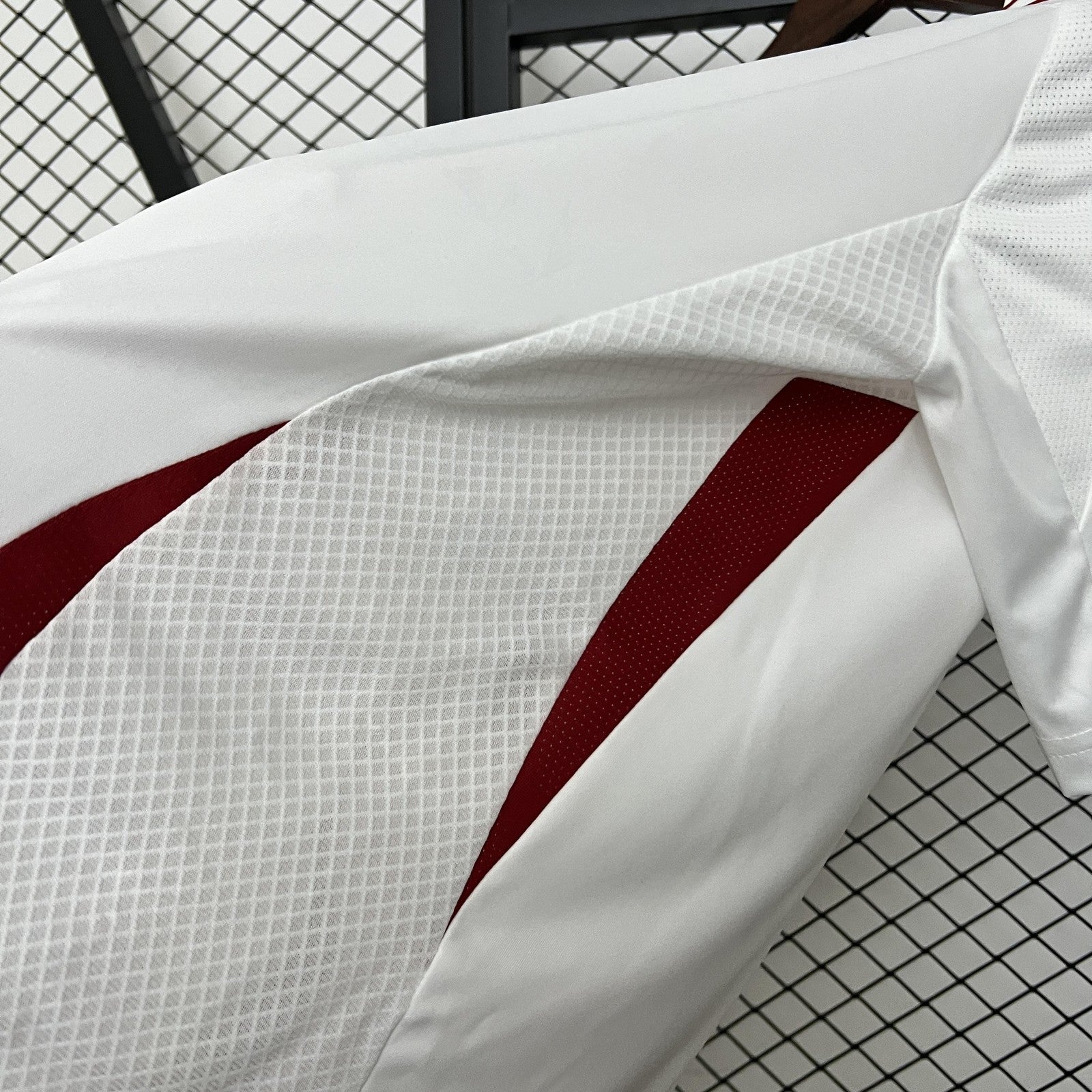 2024 Japan Special Edition 10