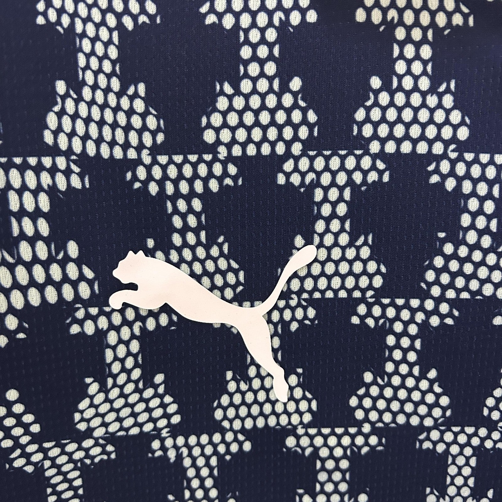 2025 Portugal Training clothes 4