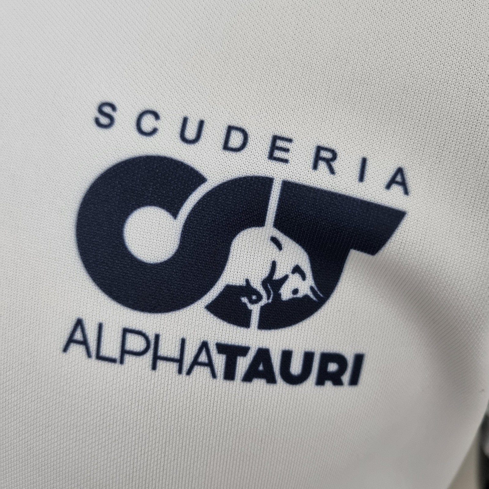 2022 F1 Formula One Alphatauri Polo