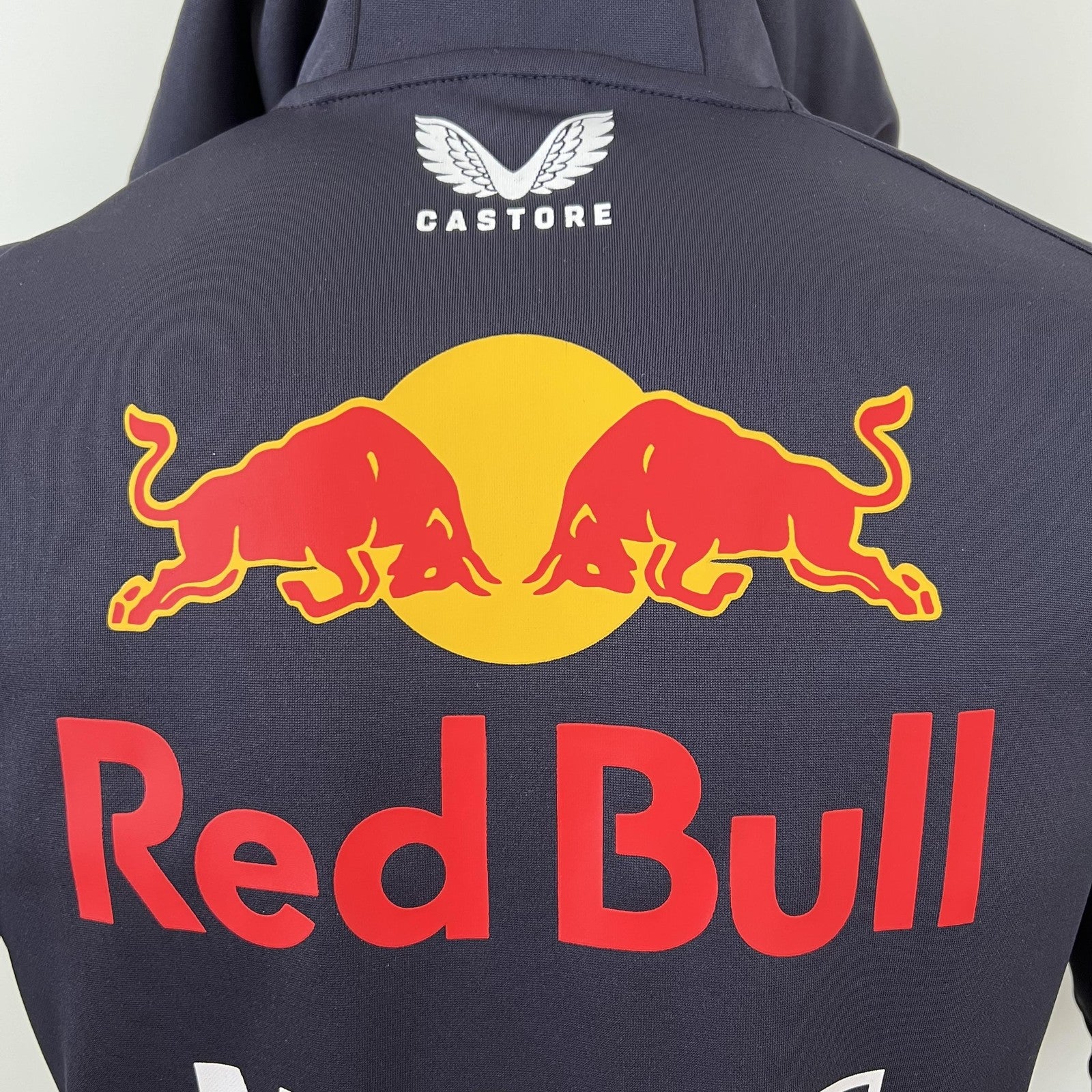 2023 F1 Formula One 25