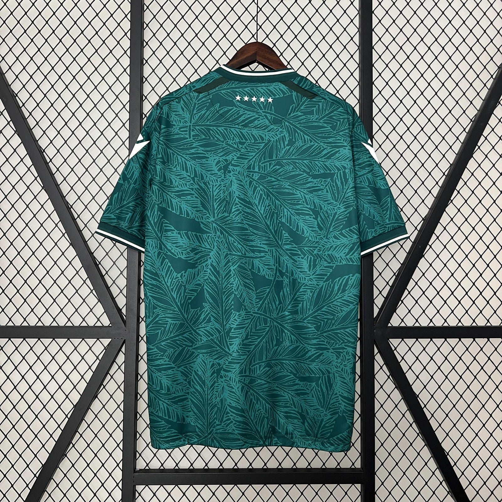 24 25 Santiago Wanderers Home