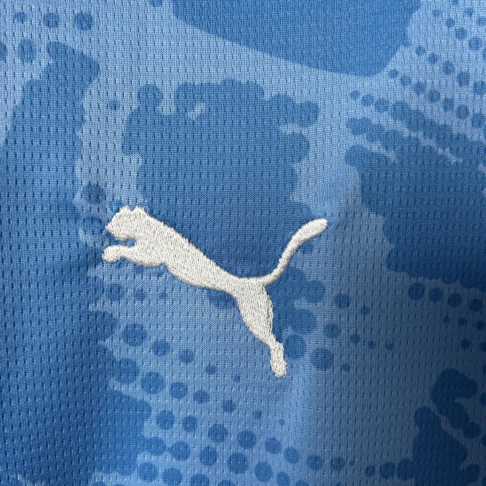 25 26 Palmeiras Goalkeeper