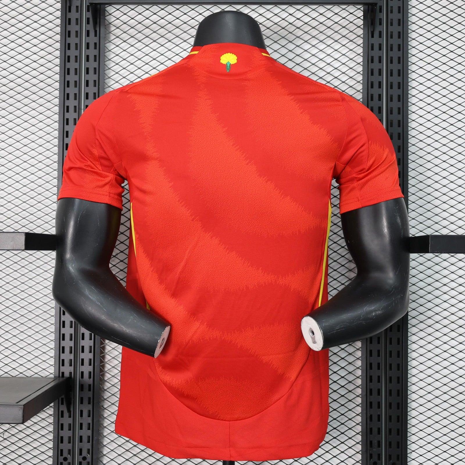 2024 Player Spain Home