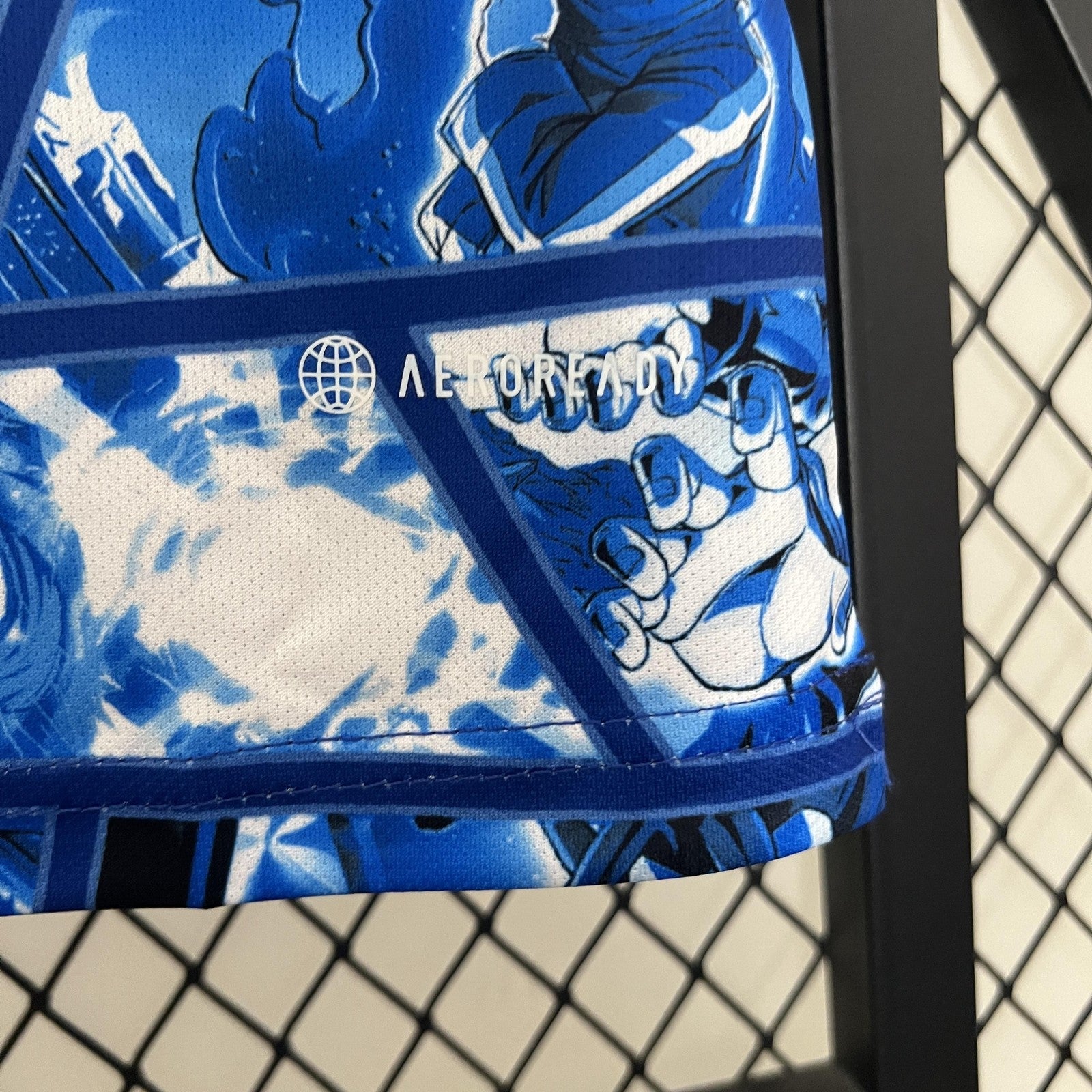 2024 Japan Special Edition 20