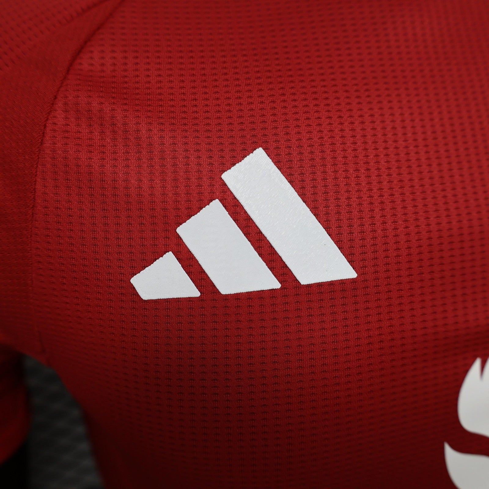 24 25 Players M U Home