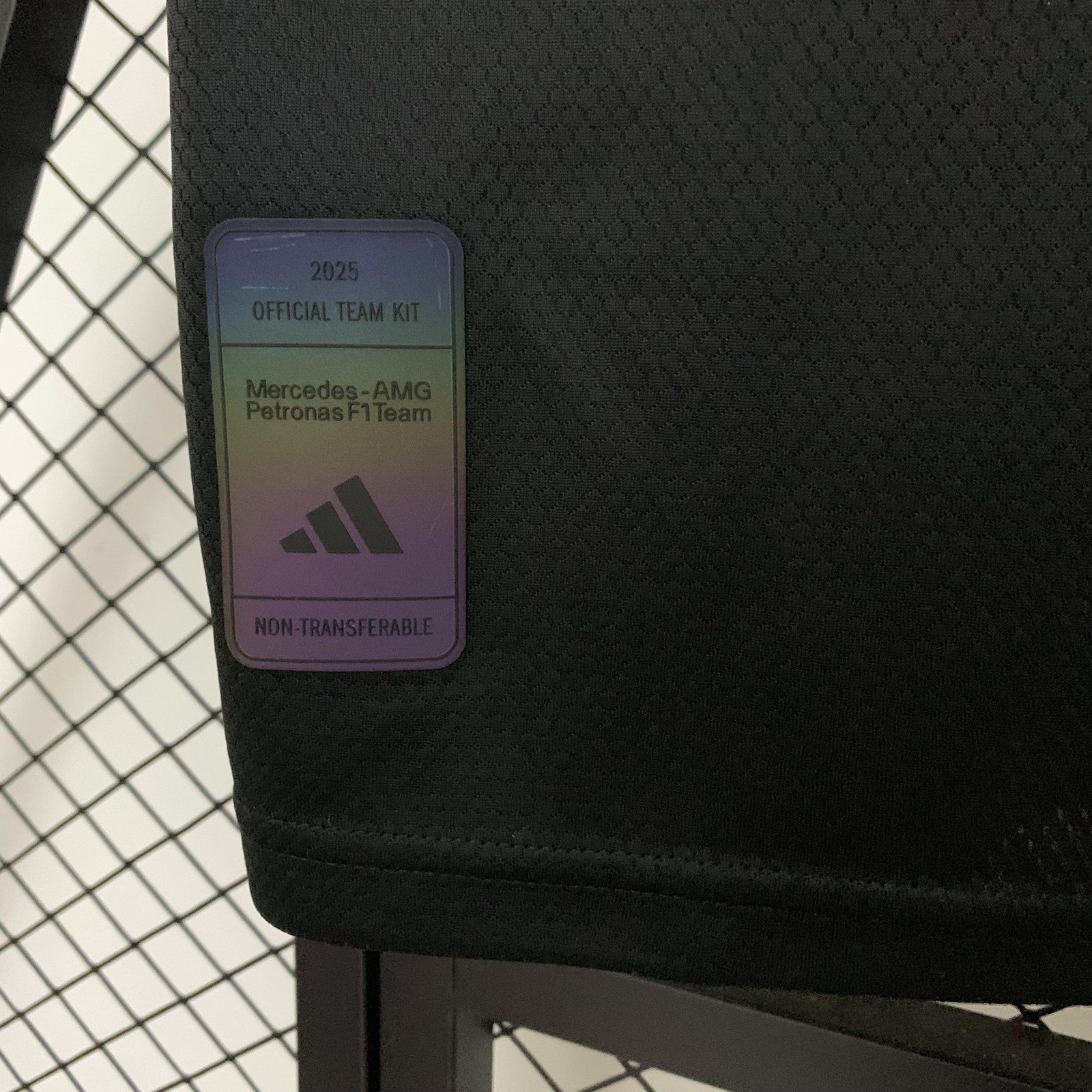 2025 F1 Formula One 9