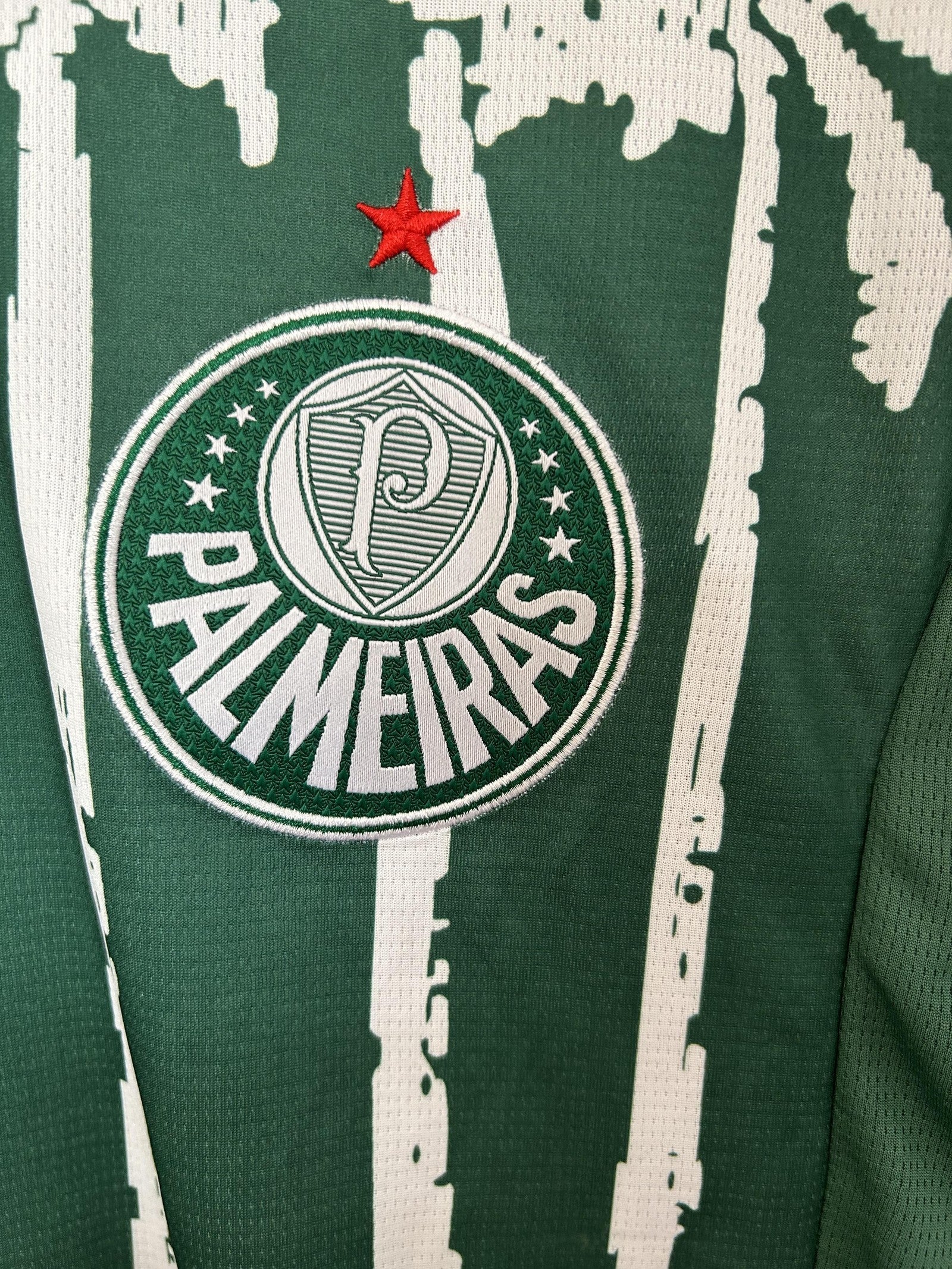 25 26 Palmeiras Special Edition