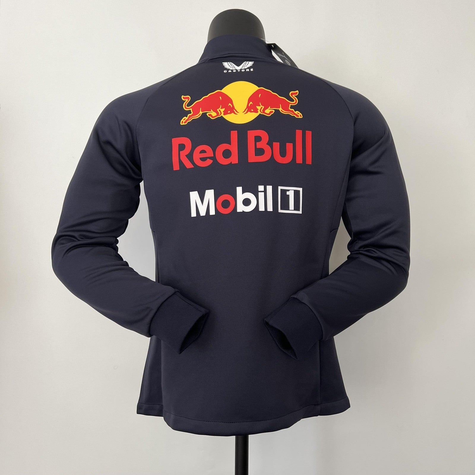 2023 F1 Formula One 24