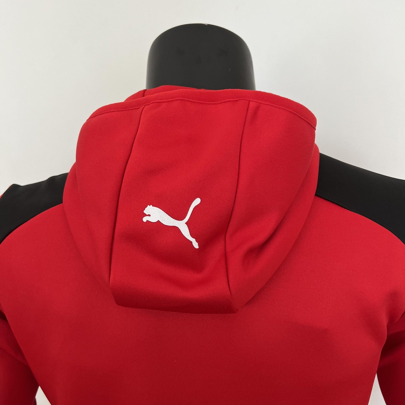 2023 F1 Formula One 29