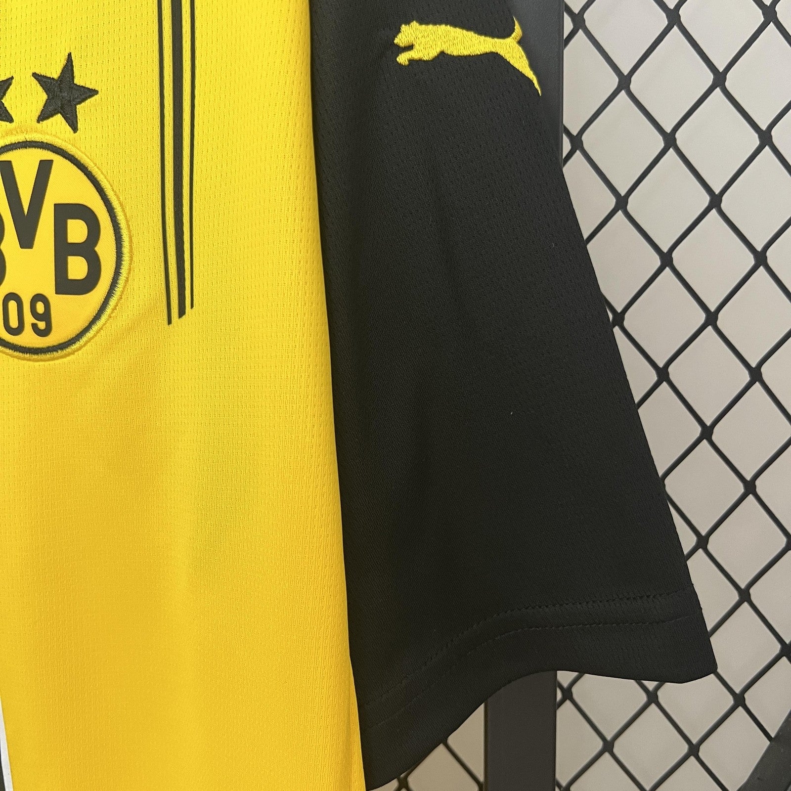 24 25 Dortmund Home
