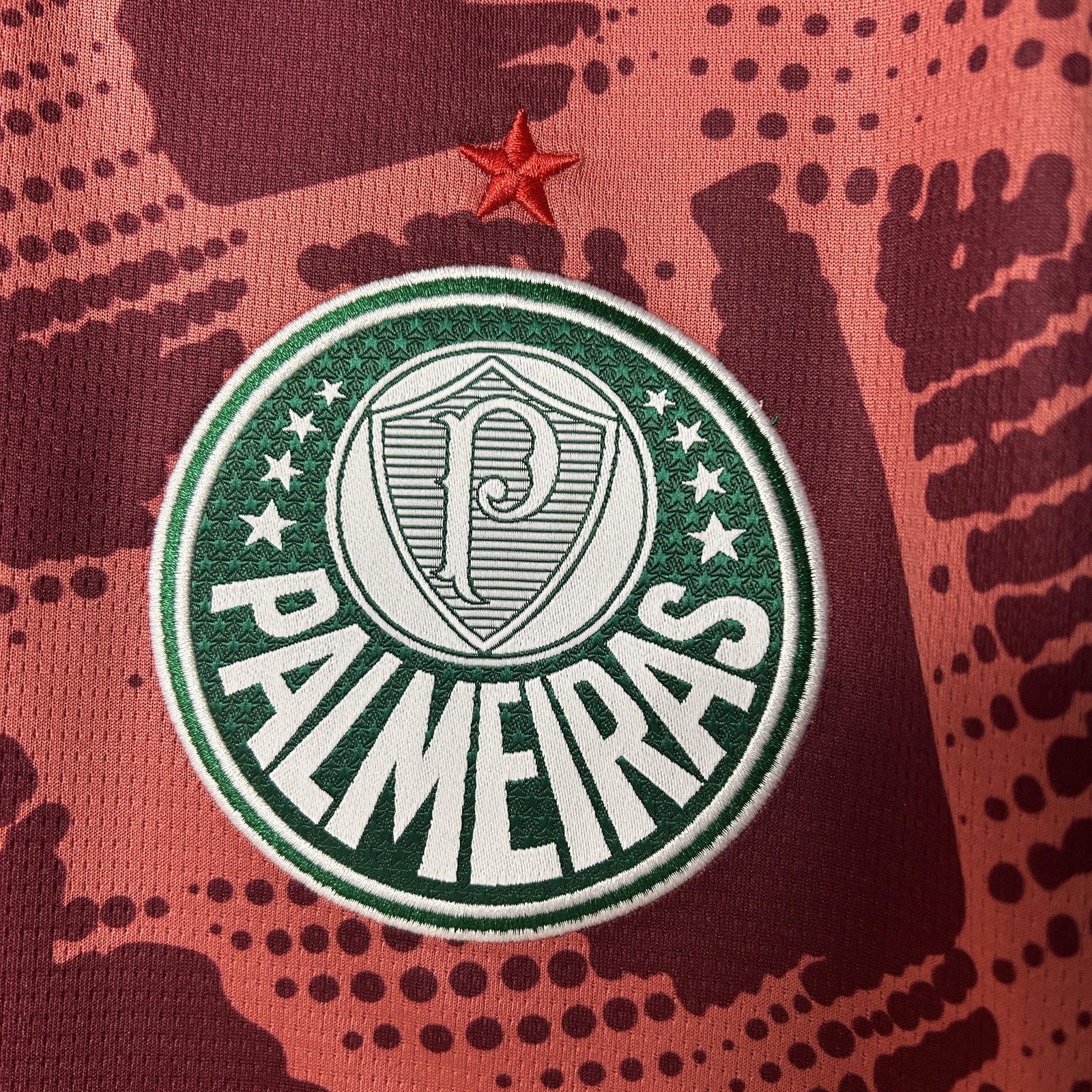 25 26 Palmeiras Goalkeeper 2