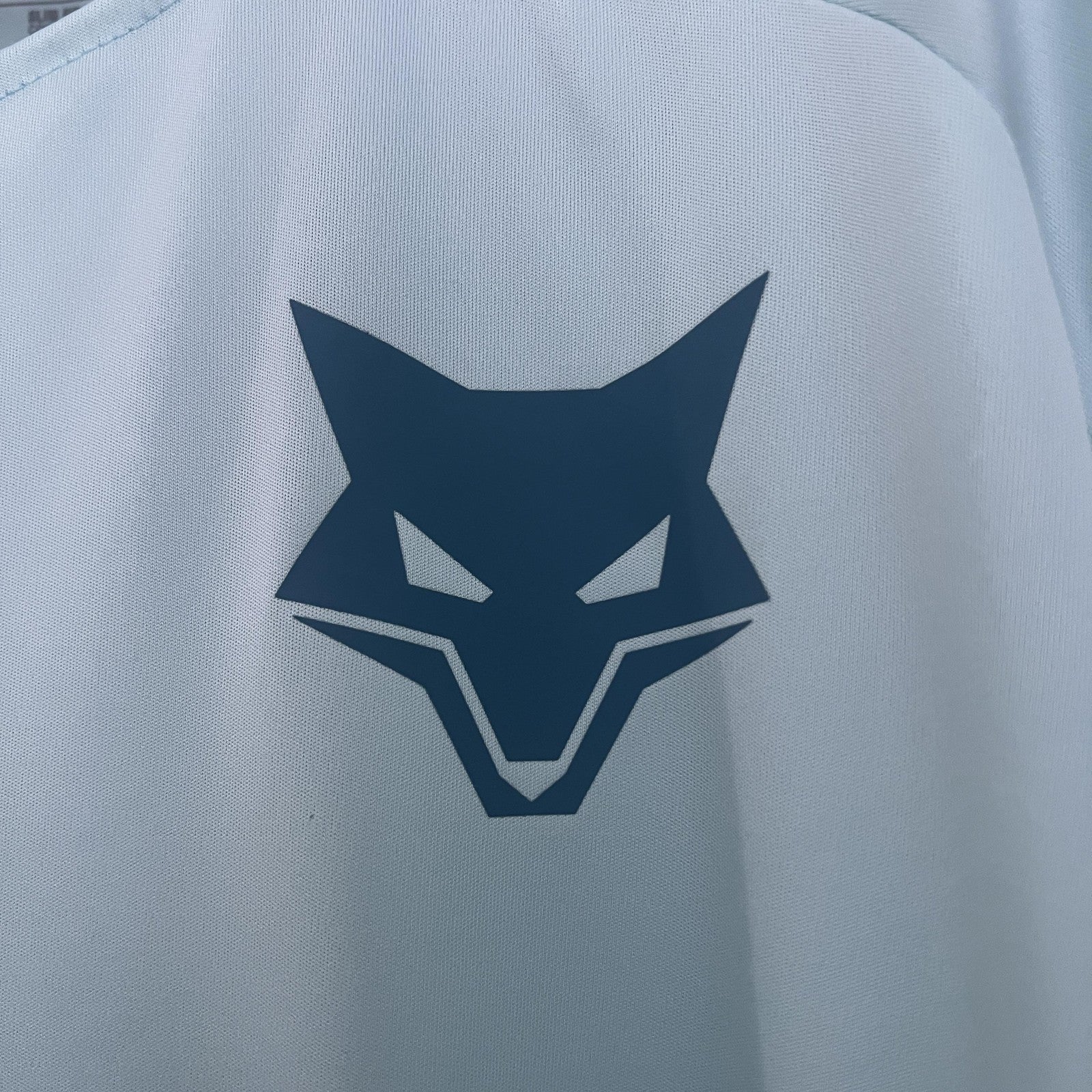 25 26 Cruzeiro Training Suit 2