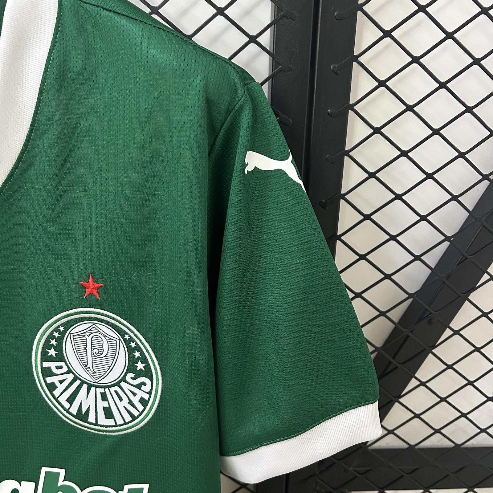 25 26 Palmeiras Home