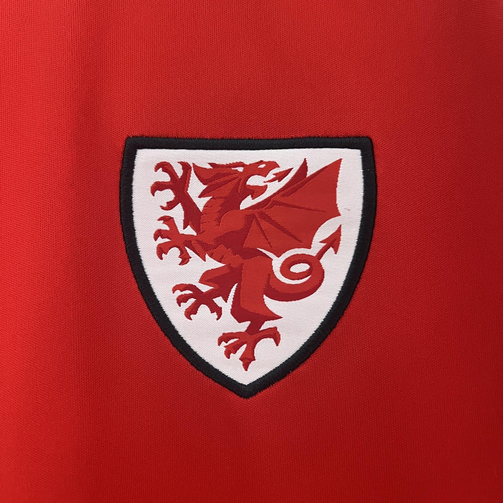 2024 Wales Home