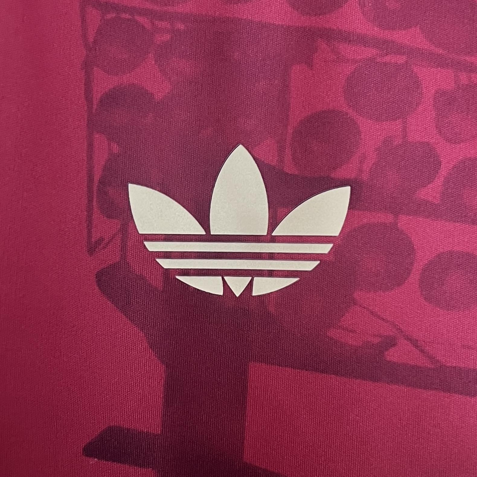 24 25 Bayern Munich Special Edition