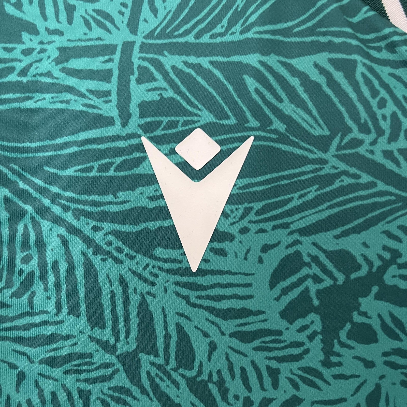 24 25 Santiago Wanderers Home