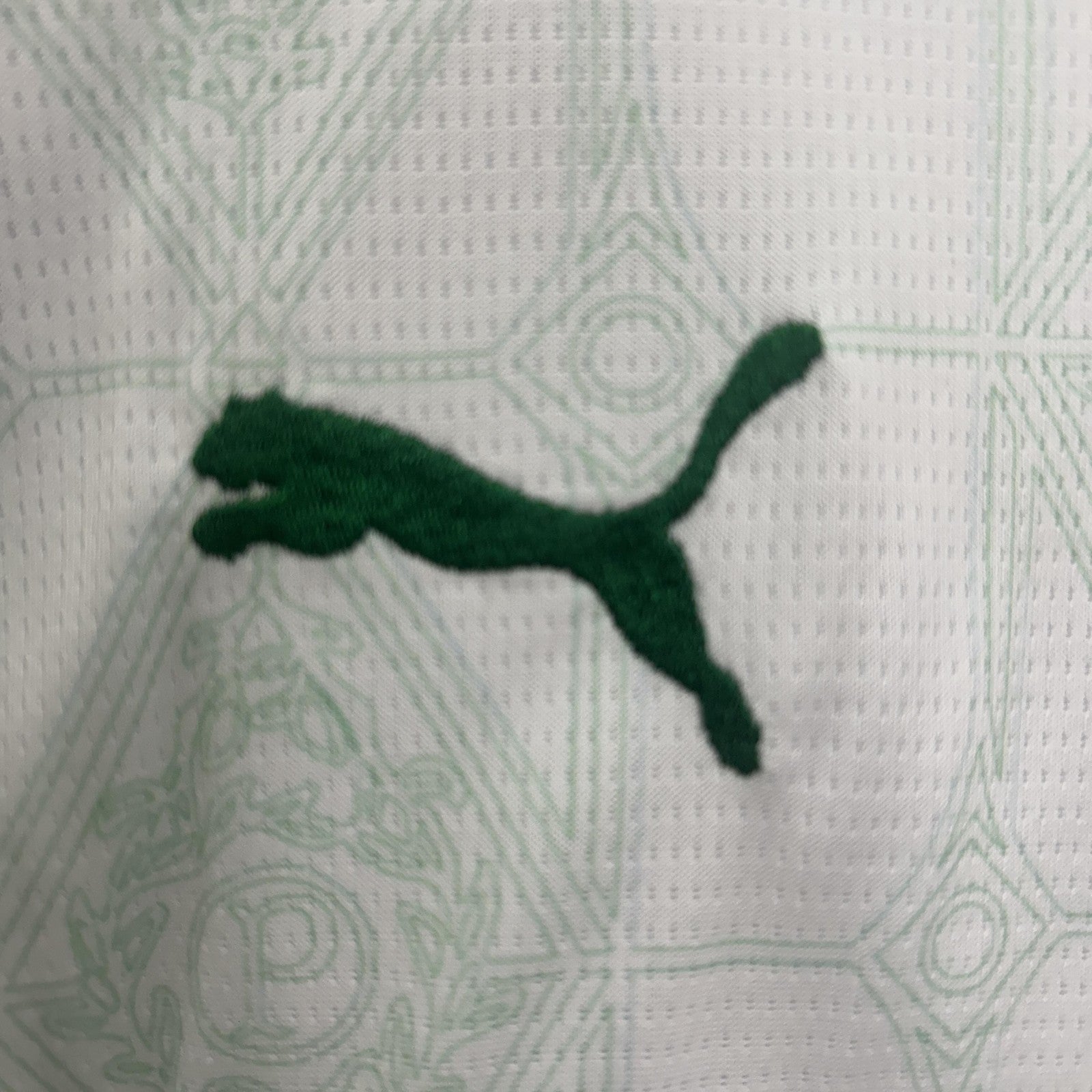 25 26 Kids Palmeiras Away