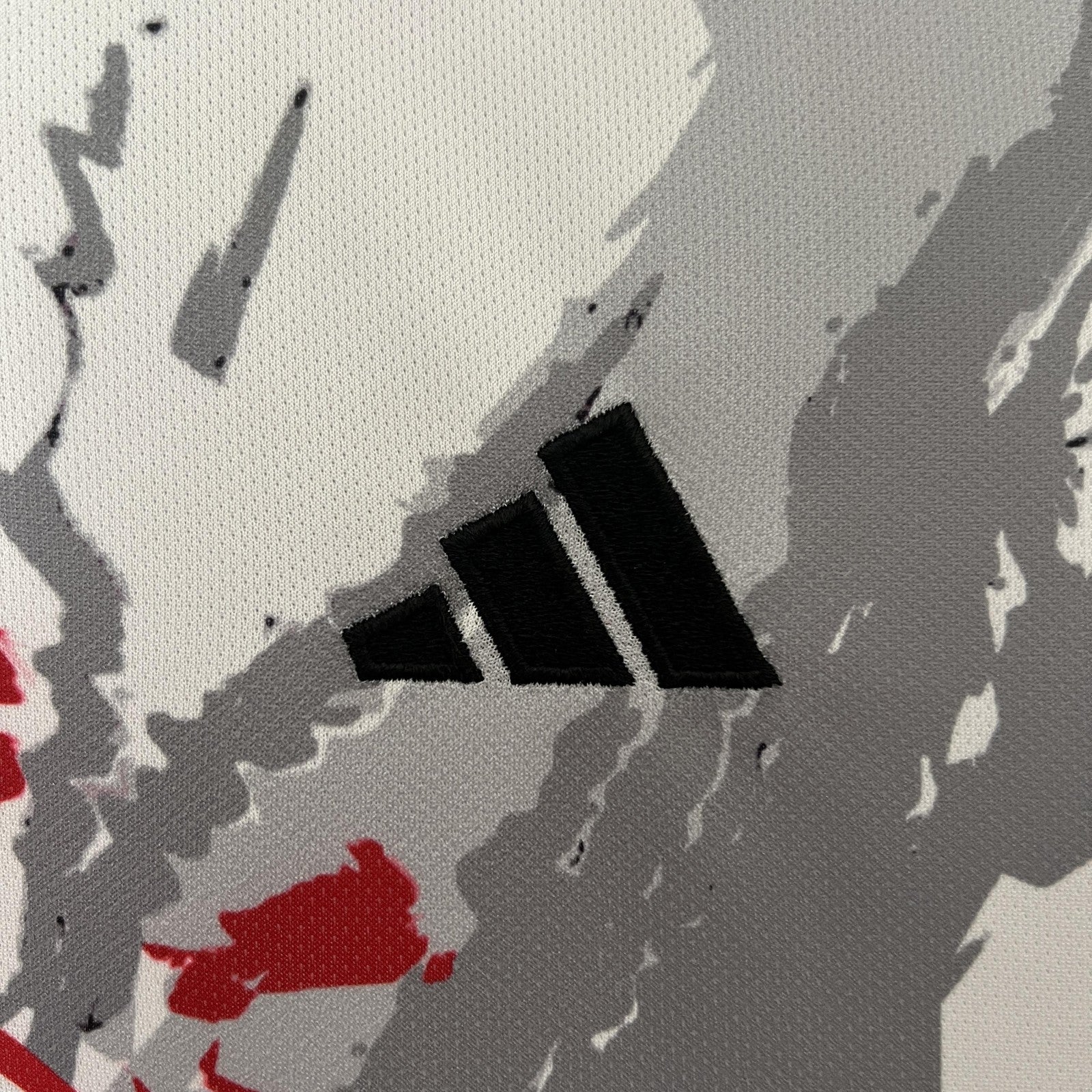 2024 Japan Special Edition 29