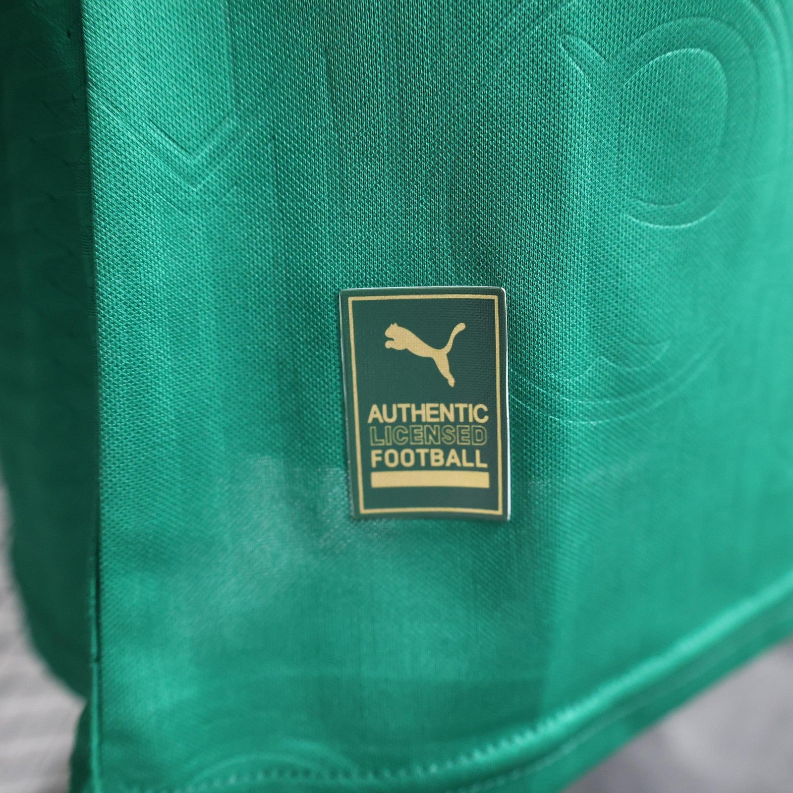 24 25 Player Version Palmeiras Home