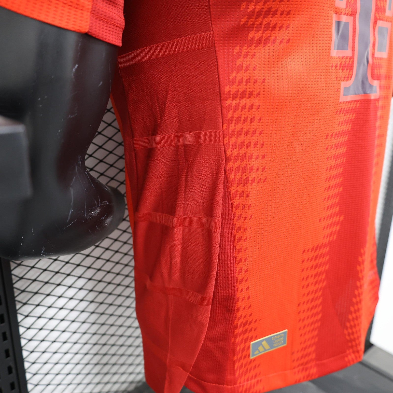 24 25 Player Bayern Munich Home