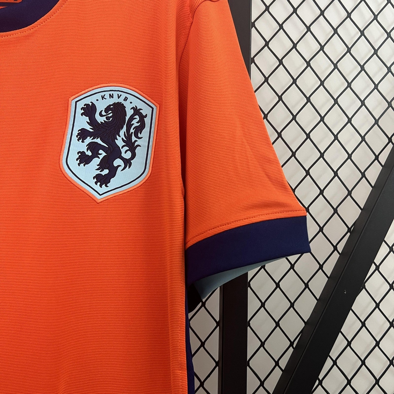 2024 Netherlands Home