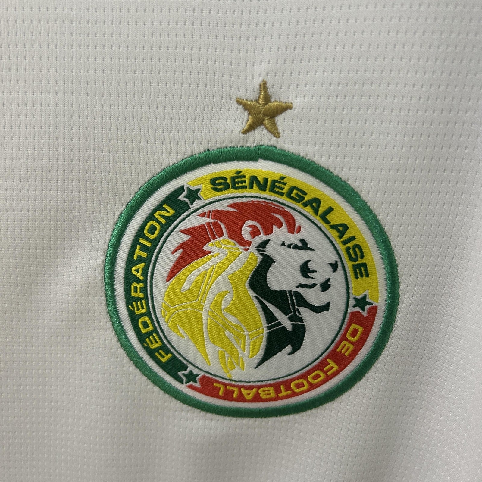 2025 Senegal Home