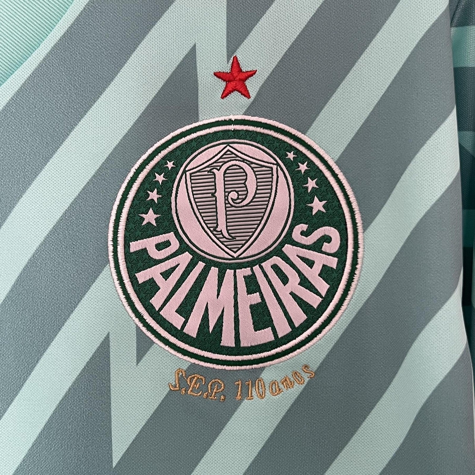 24 25 Palmeiras Goalkeeper