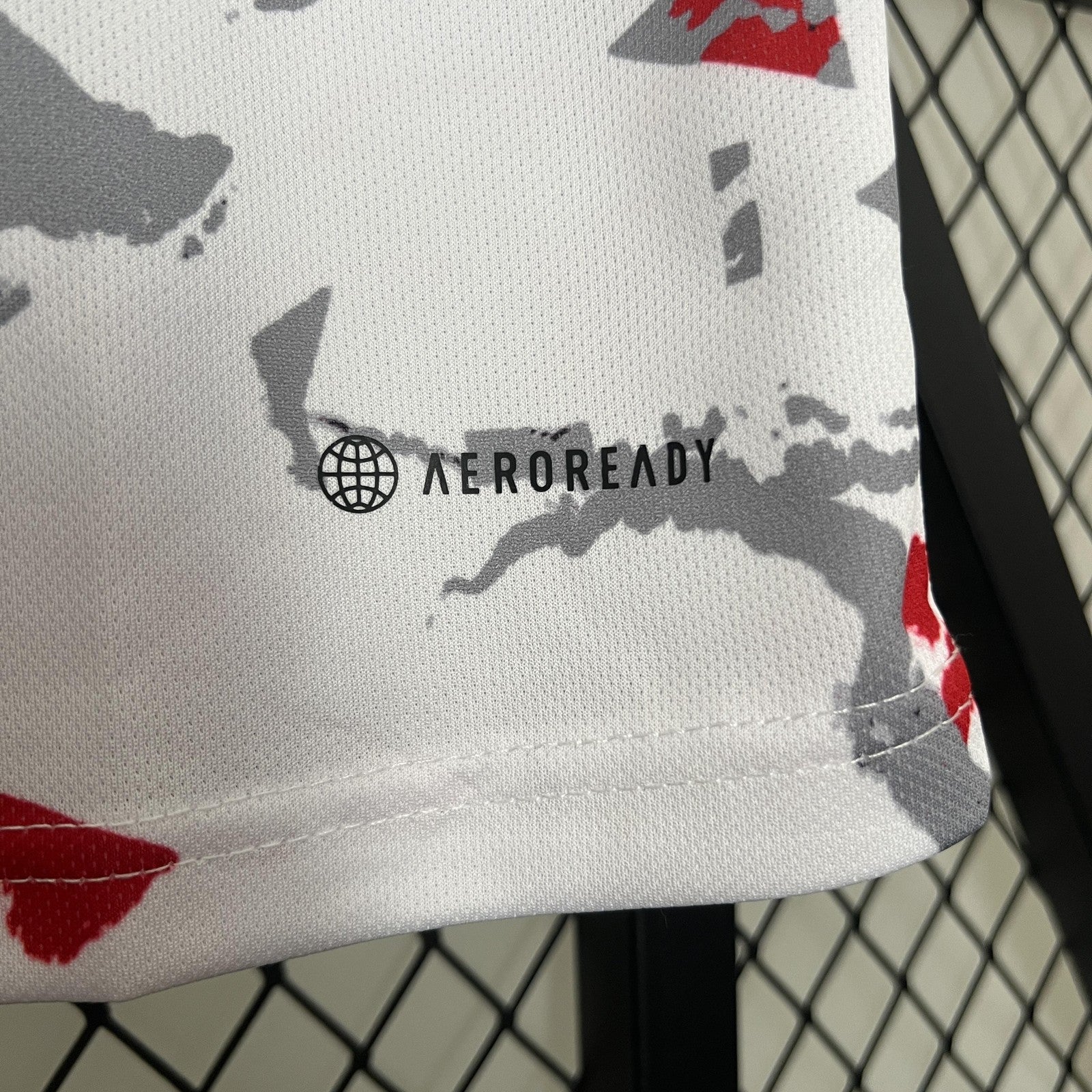 2024 Japan Special Edition 29