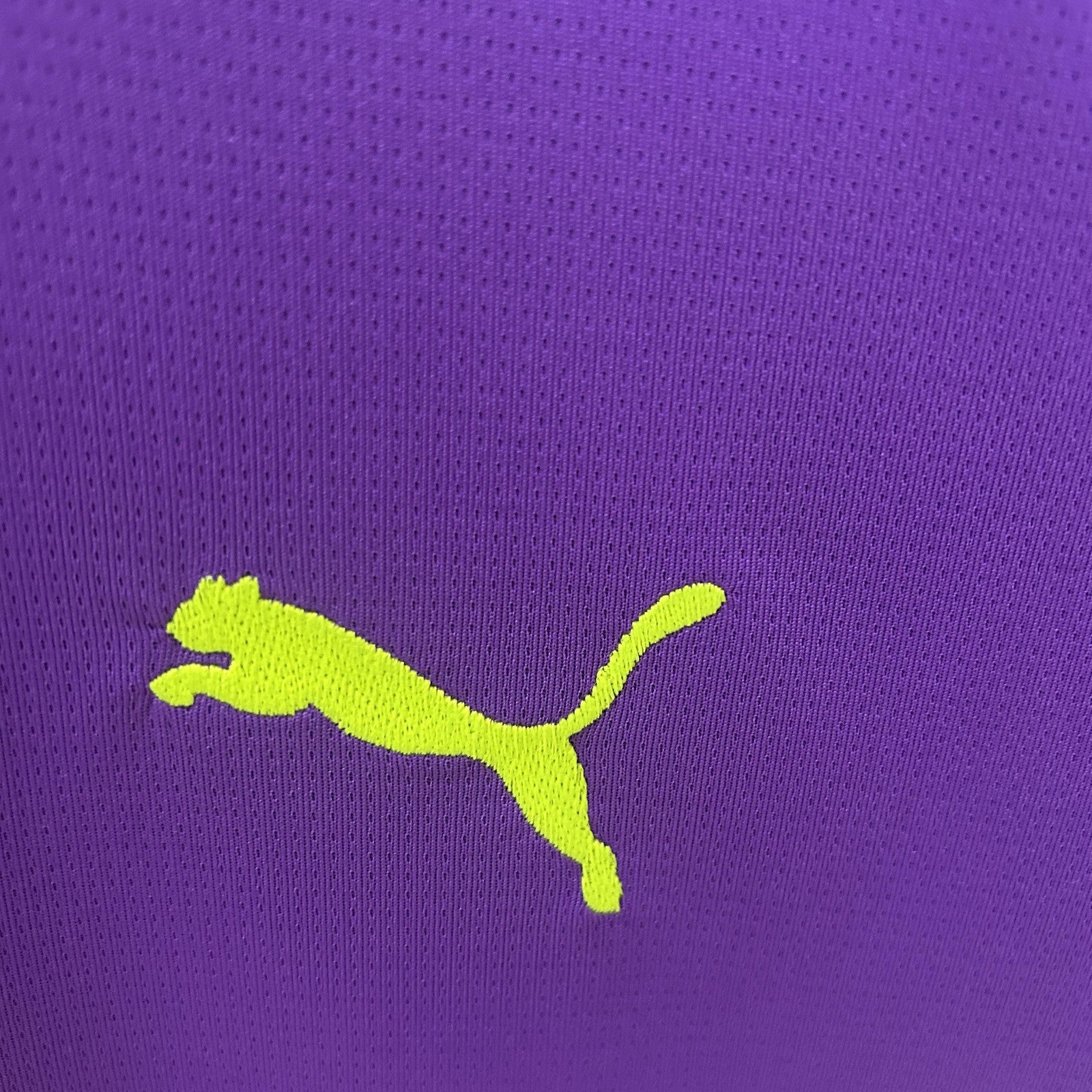 24 25 Goalkeeper Dortmund Purple