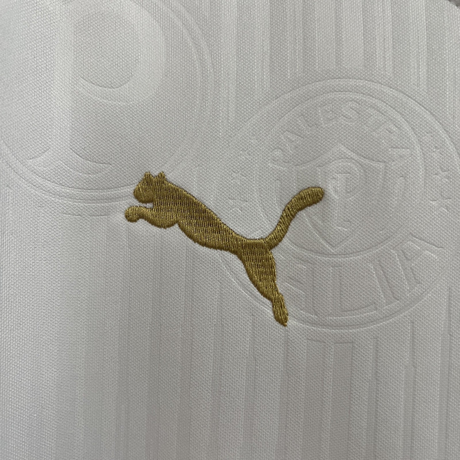 24 25 Vest Palmeiras Away