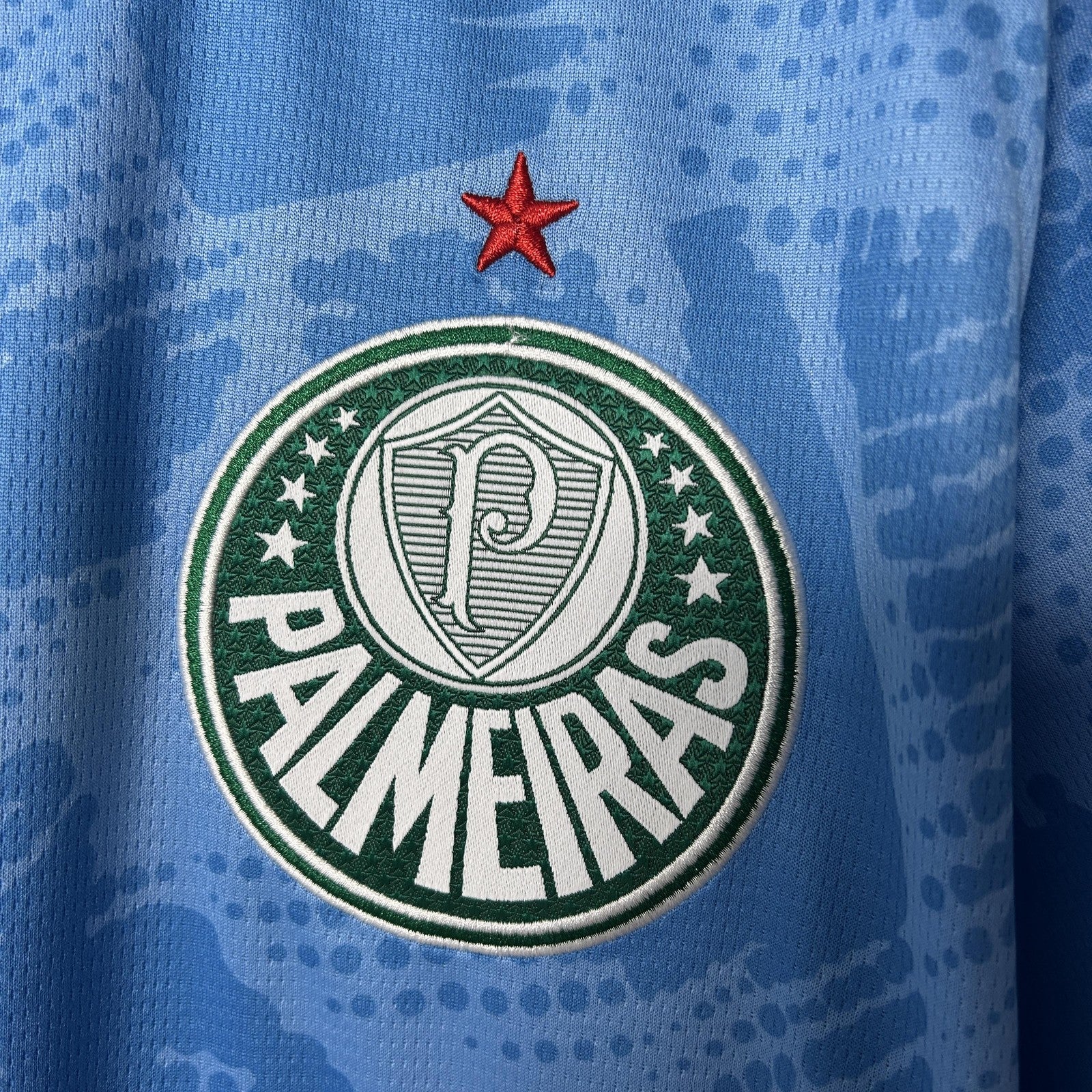 25 26 Palmeiras Goalkeeper