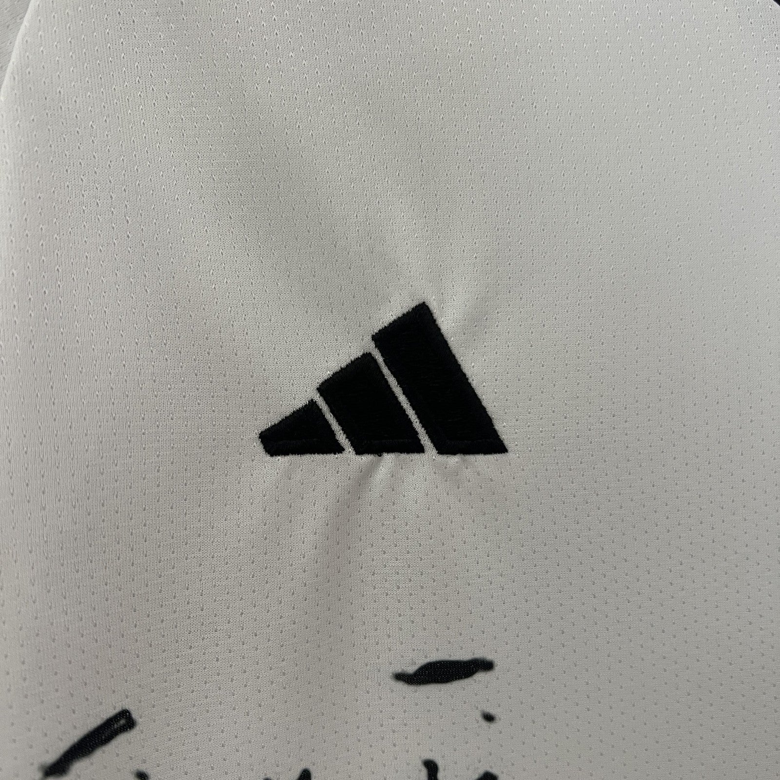 2024 Japan Special Edition 33